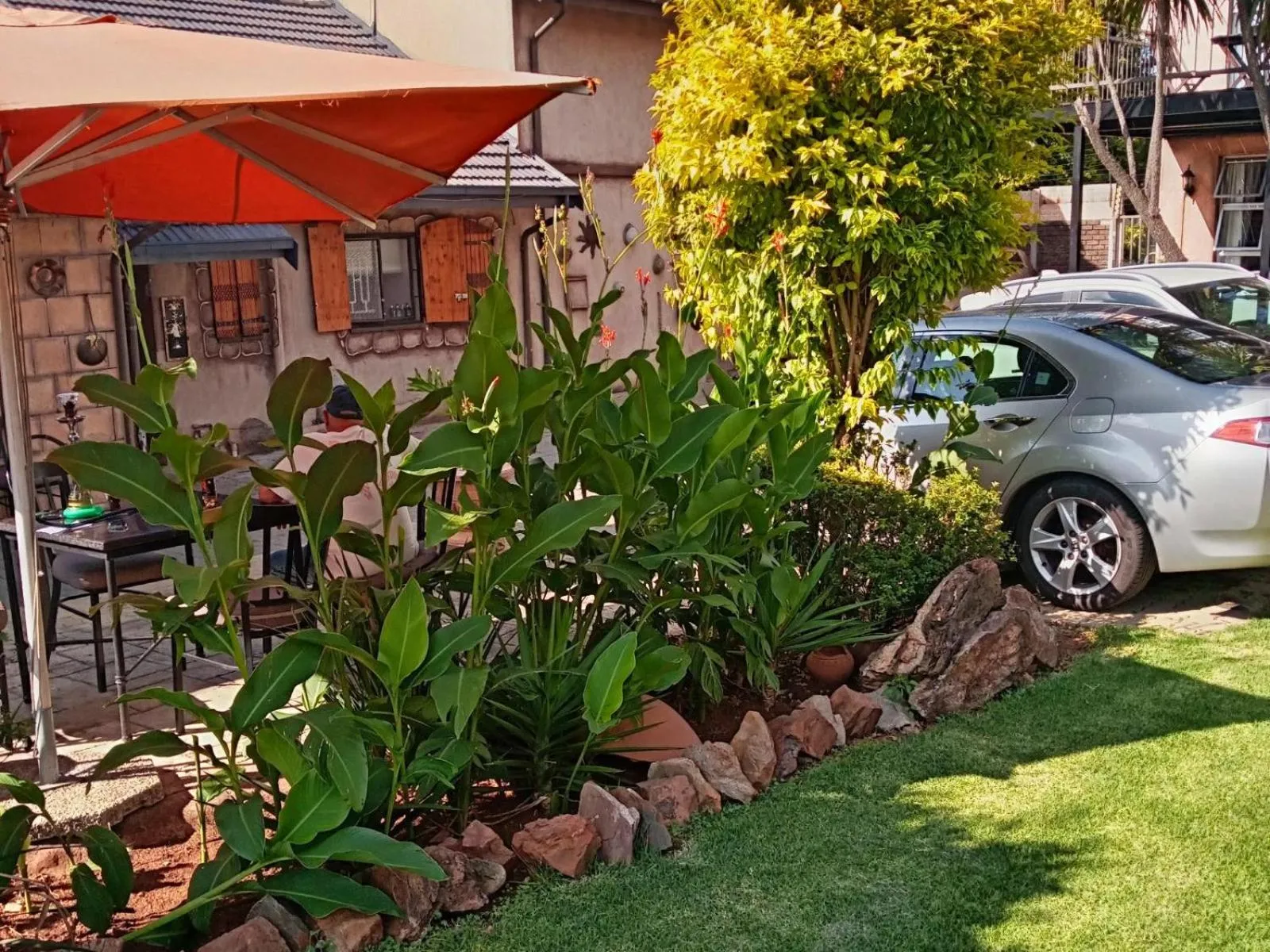 Garden in Petra Lodge