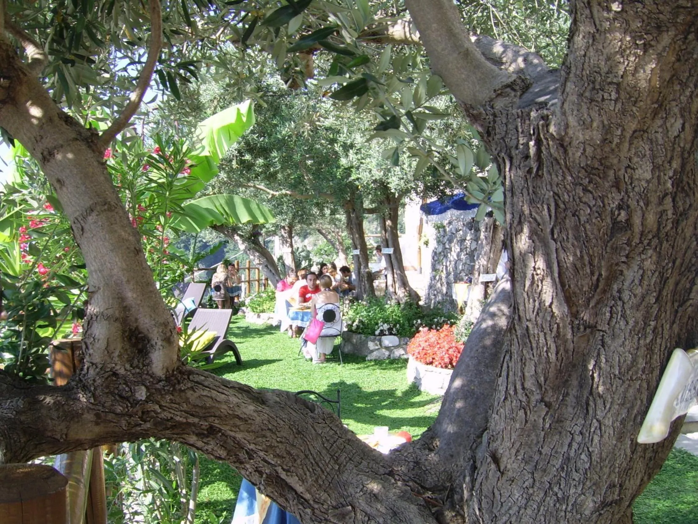 Restaurant/places to eat in World Center