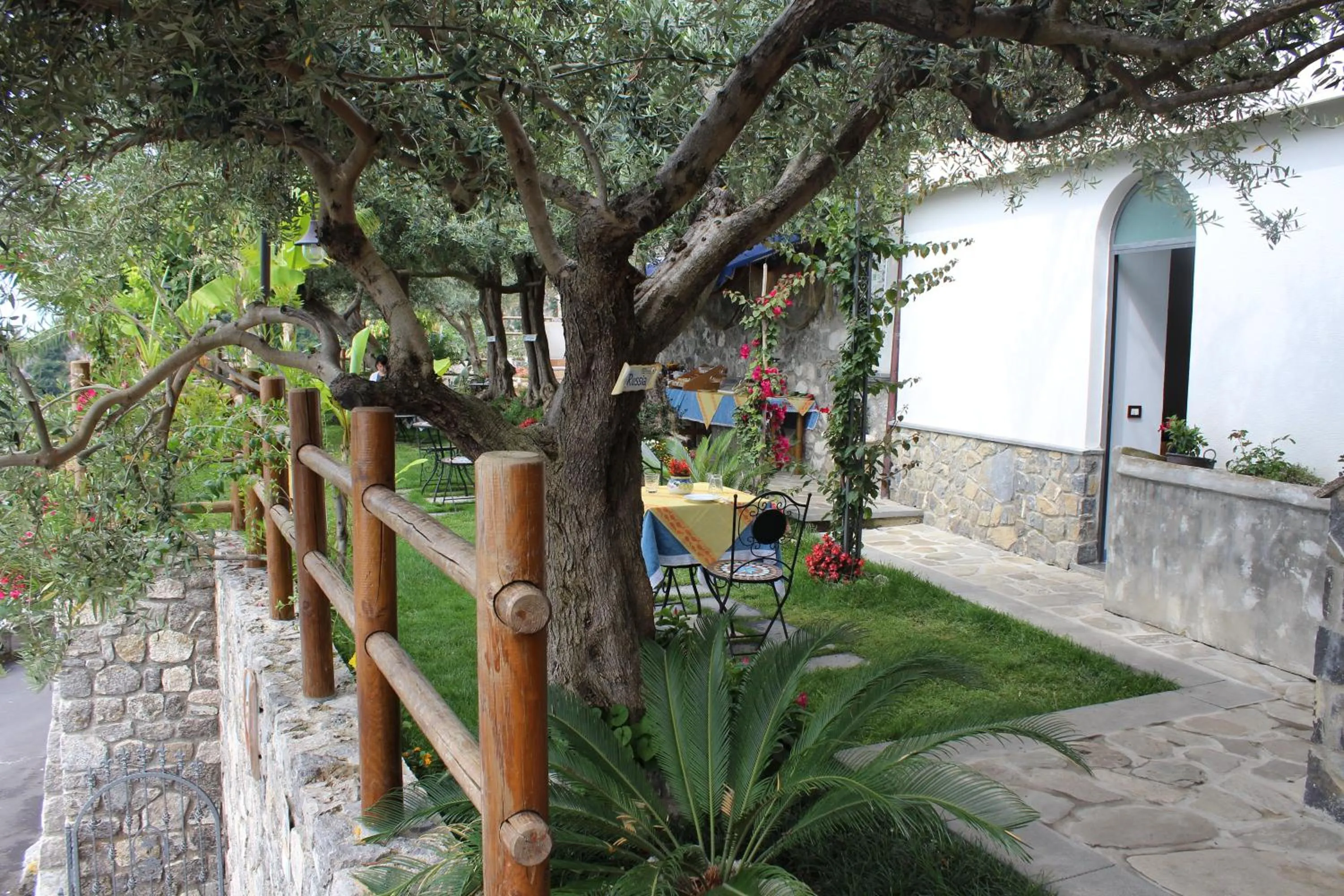 Garden in World Center