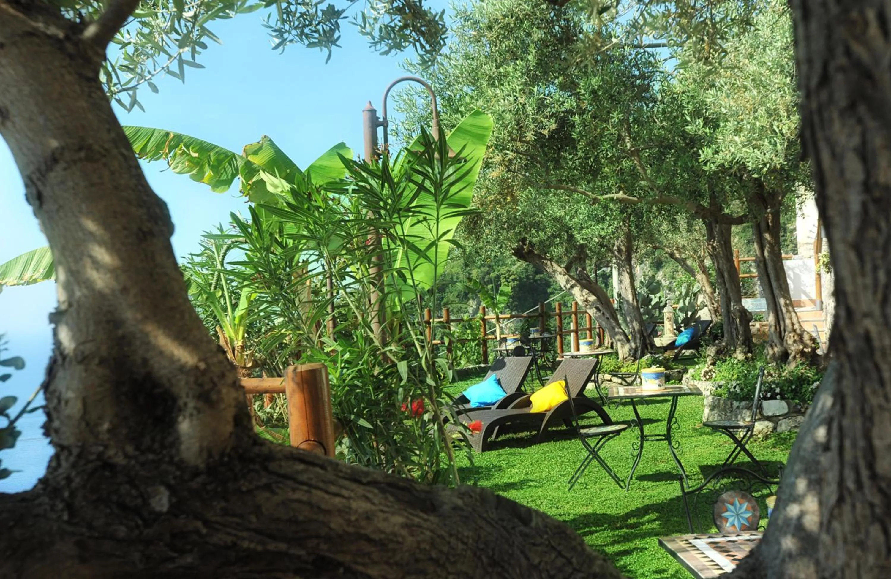 Garden in World Center