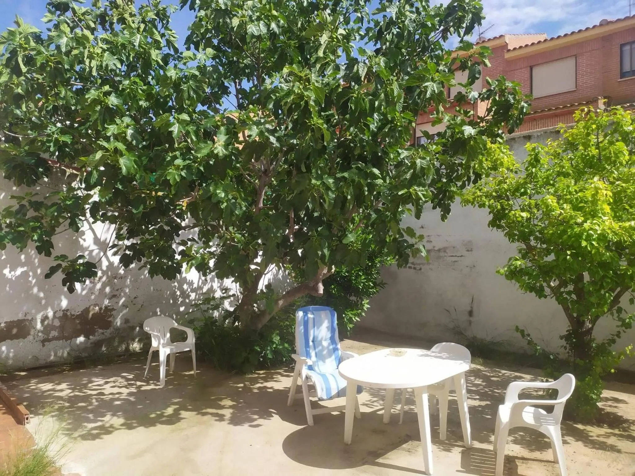 Garden in Private Double Room Toledo