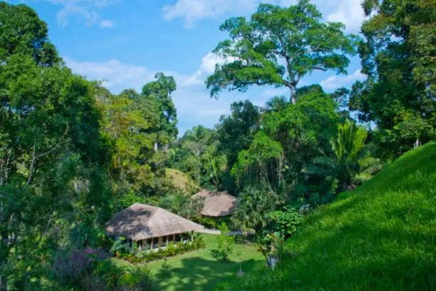 Property building in Chitwan Paradise Hotel