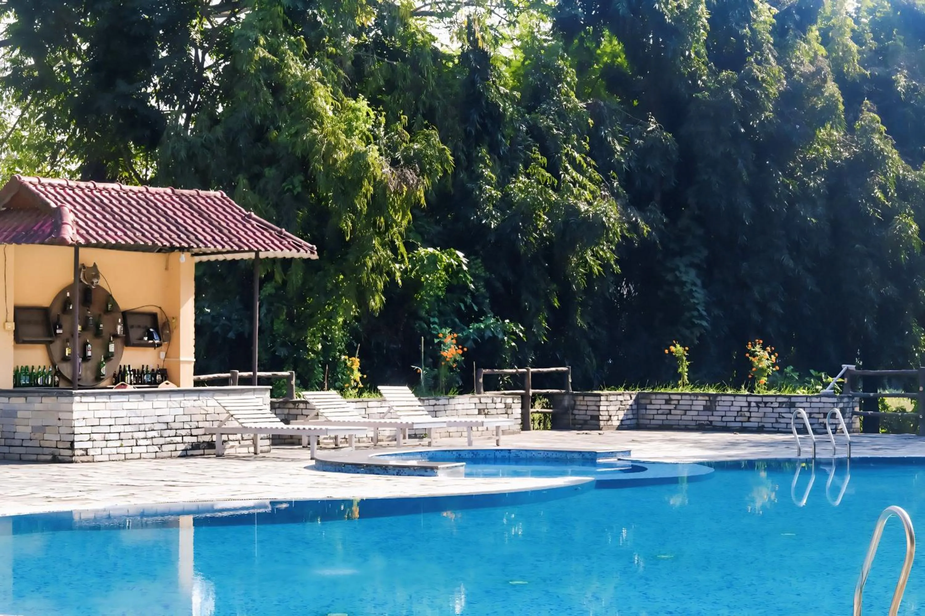 Swimming pool in Chitwan Paradise Hotel