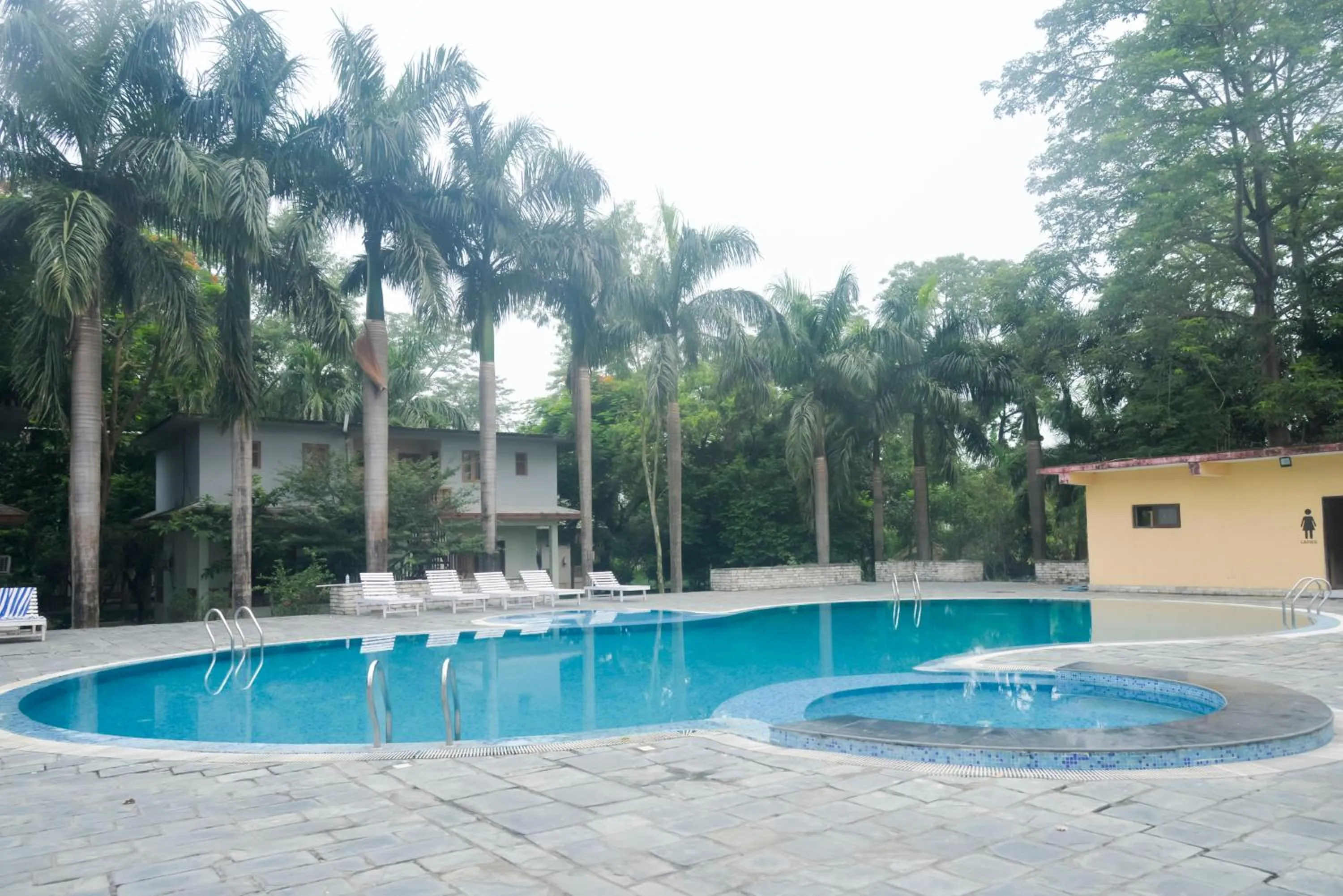 Swimming pool in Chitwan Paradise Hotel