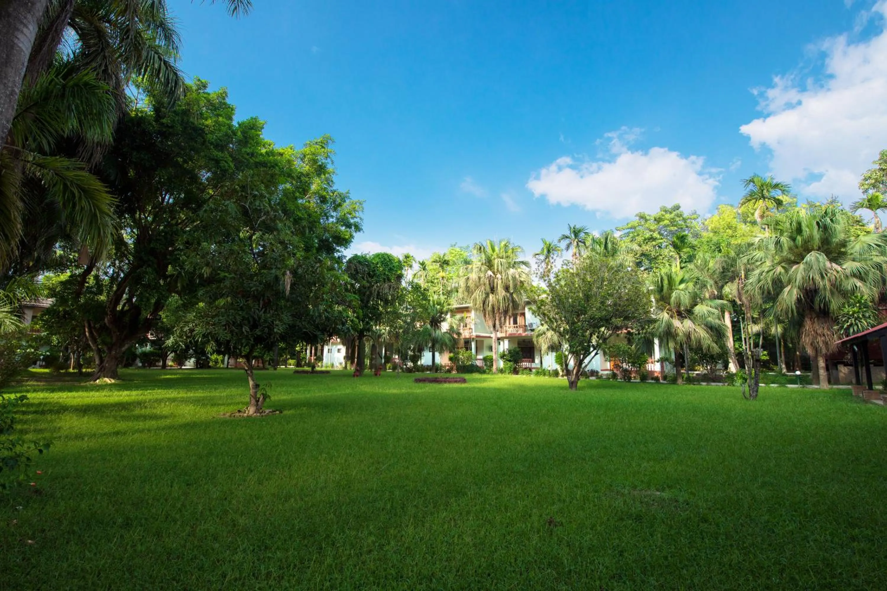 Garden in Chitwan Paradise Hotel