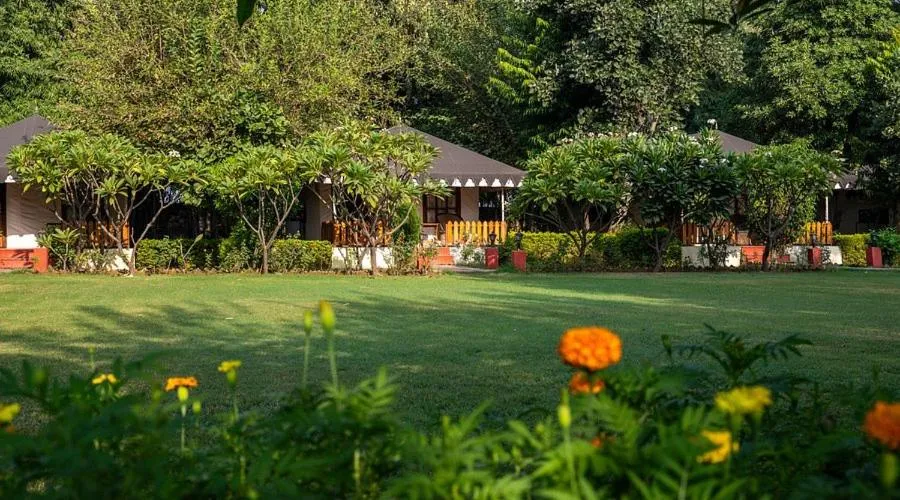 Property building in Chitwan Paradise Hotel