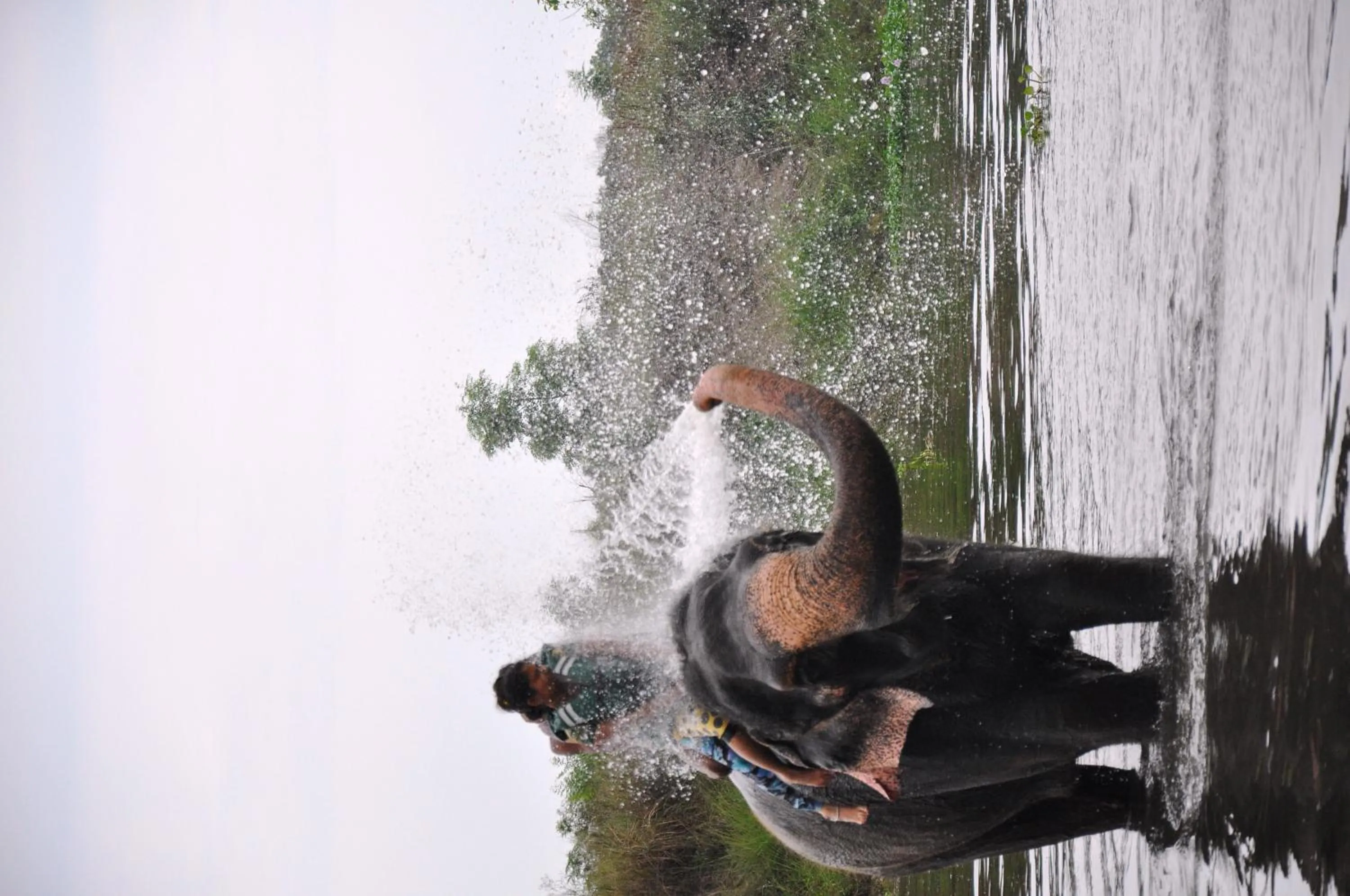 Aqua park in Chitwan Paradise Hotel