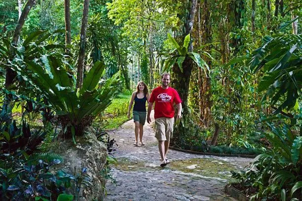 Garden in Chitwan Paradise Hotel