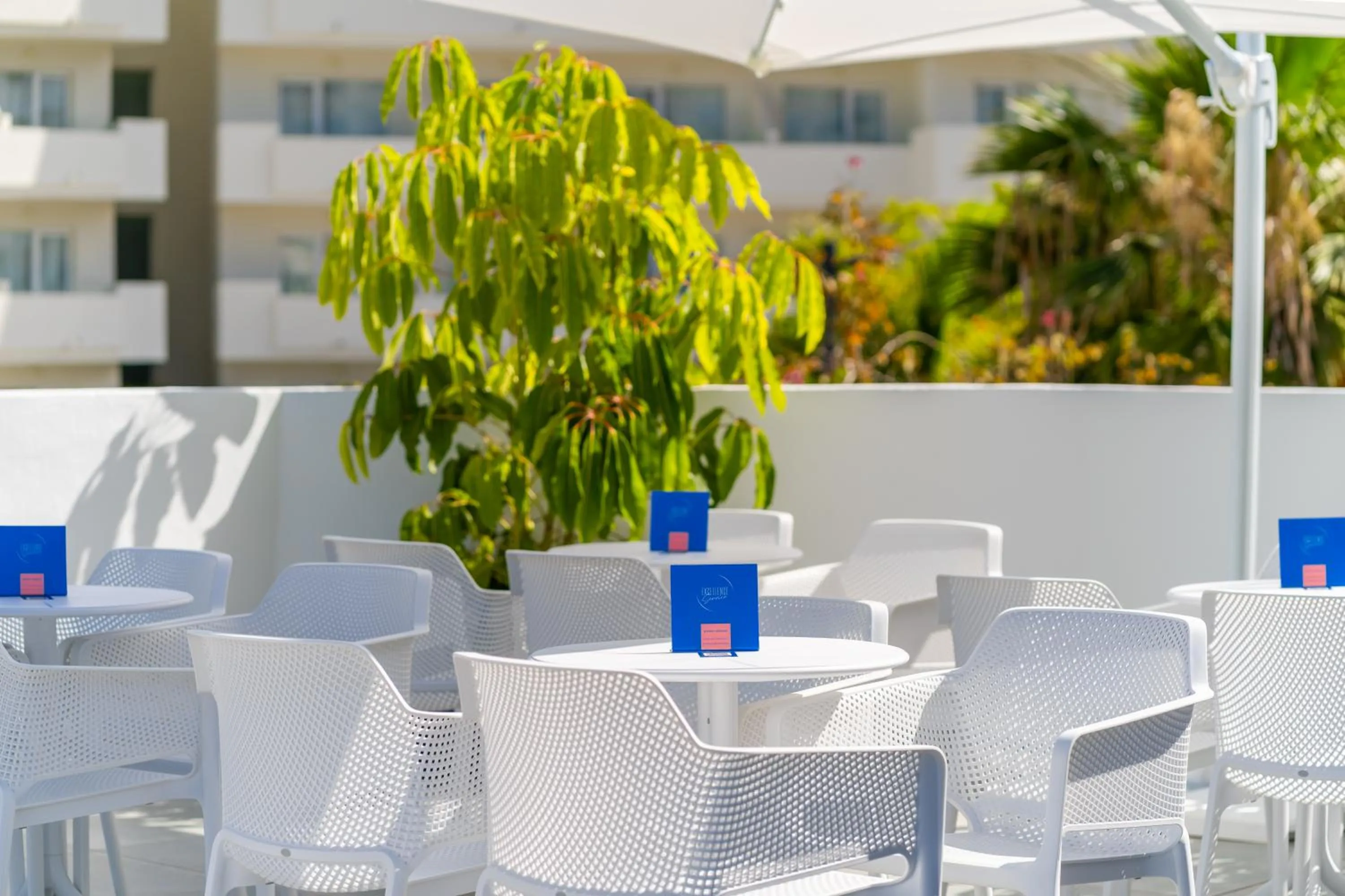 Swimming pool in HOVIMA Cool Costa Adeje