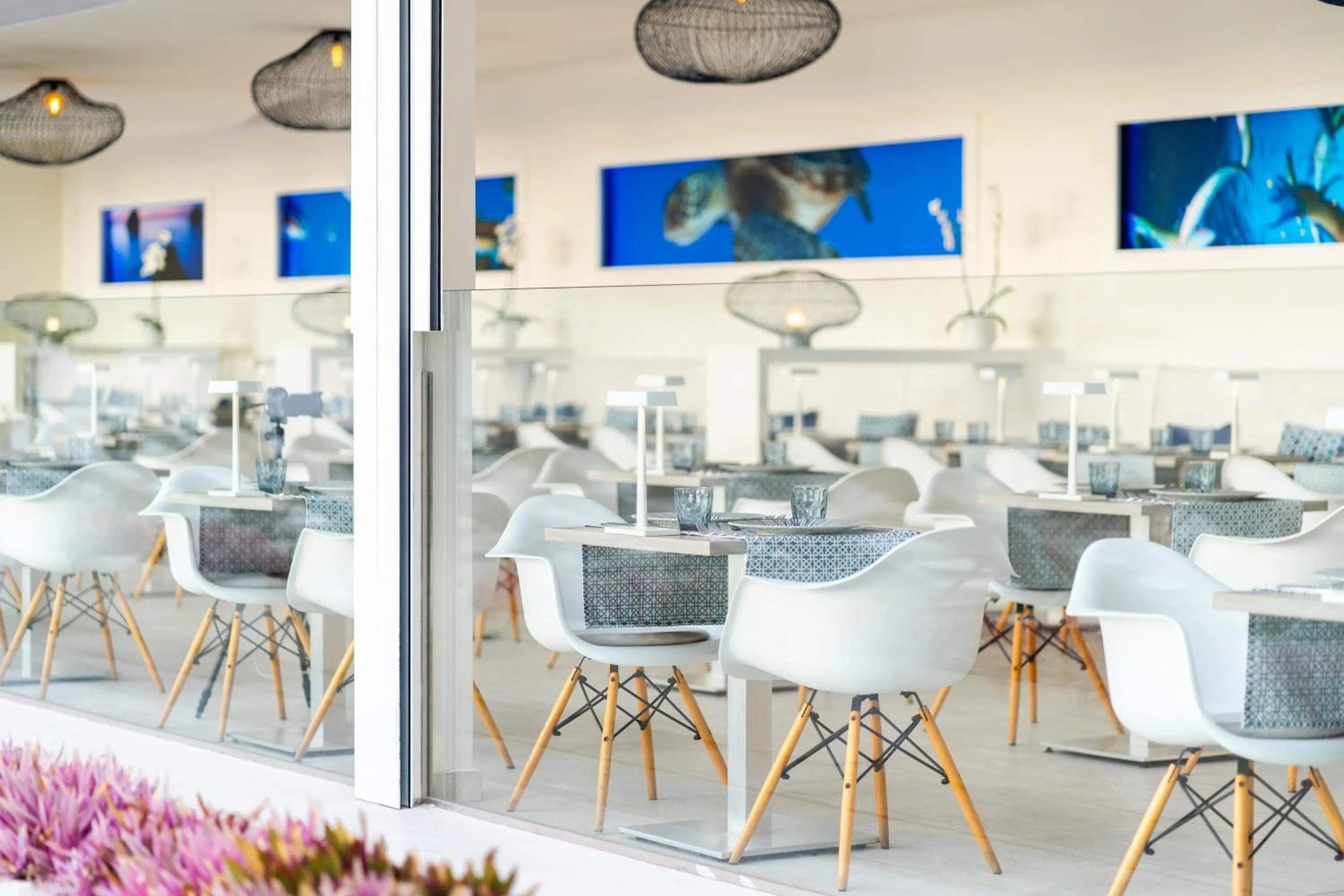 Restaurant/places to eat in HOVIMA Cool Costa Adeje