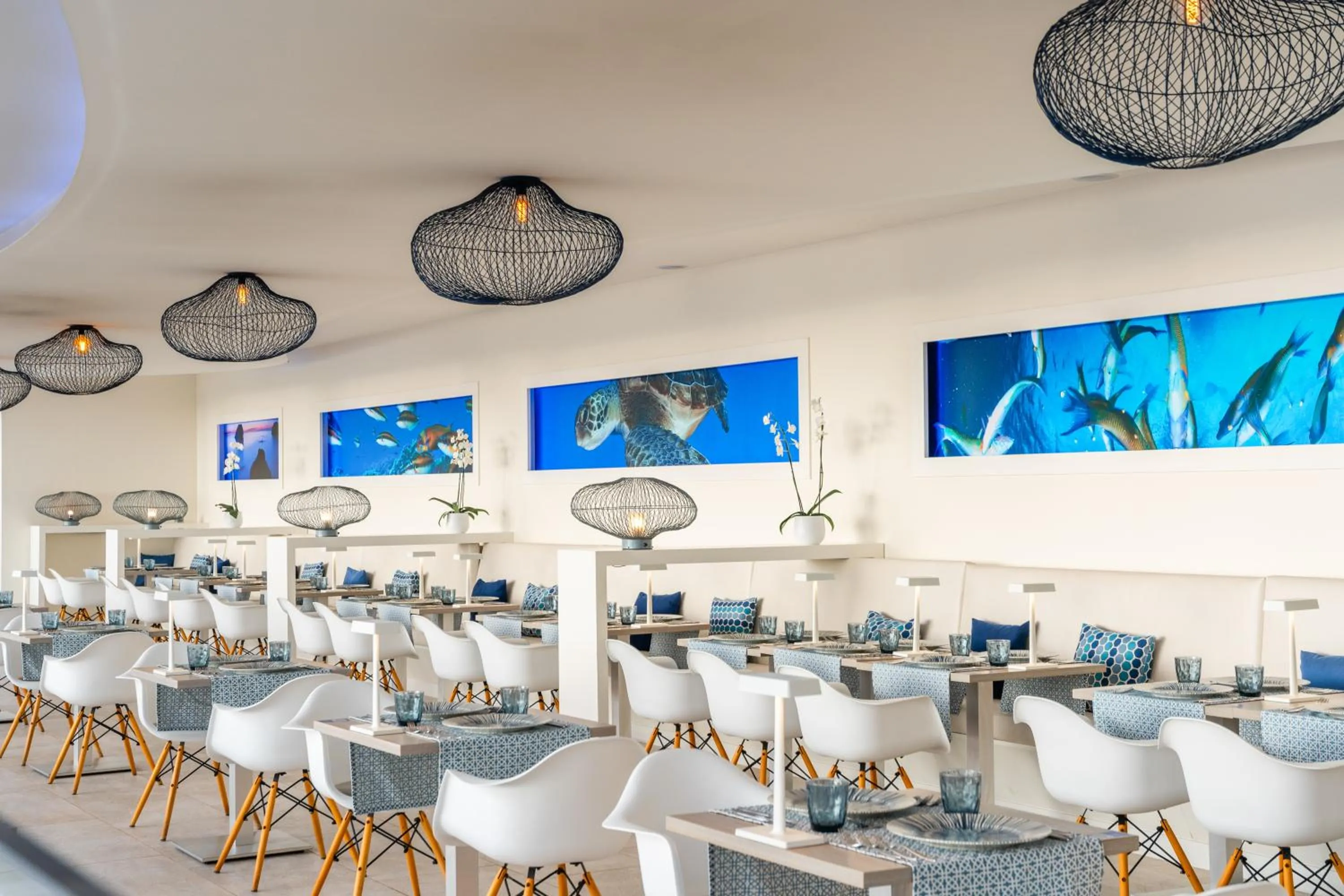 Restaurant/places to eat in HOVIMA Cool Costa Adeje