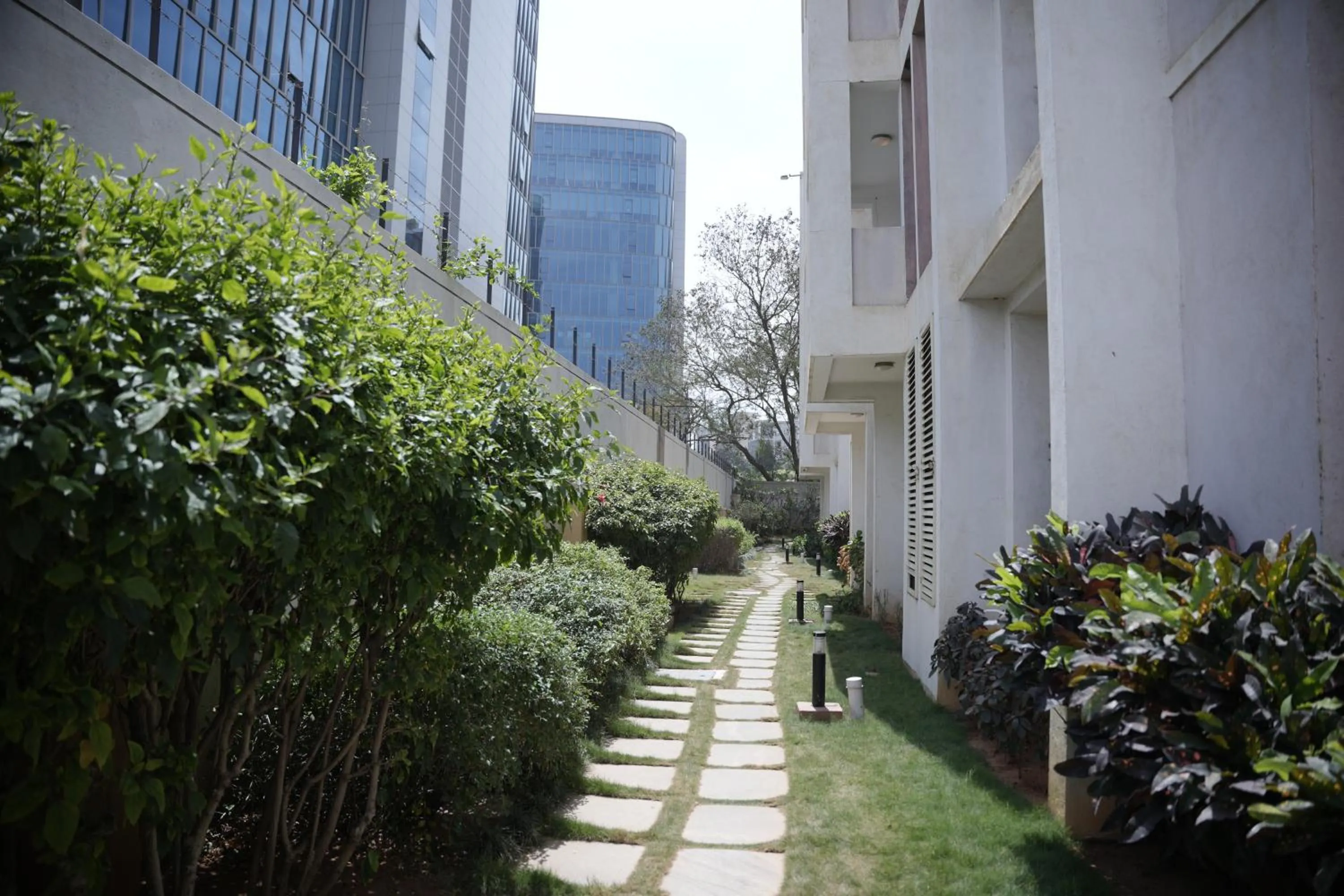 Garden in Hotel Nagarjuna Suites