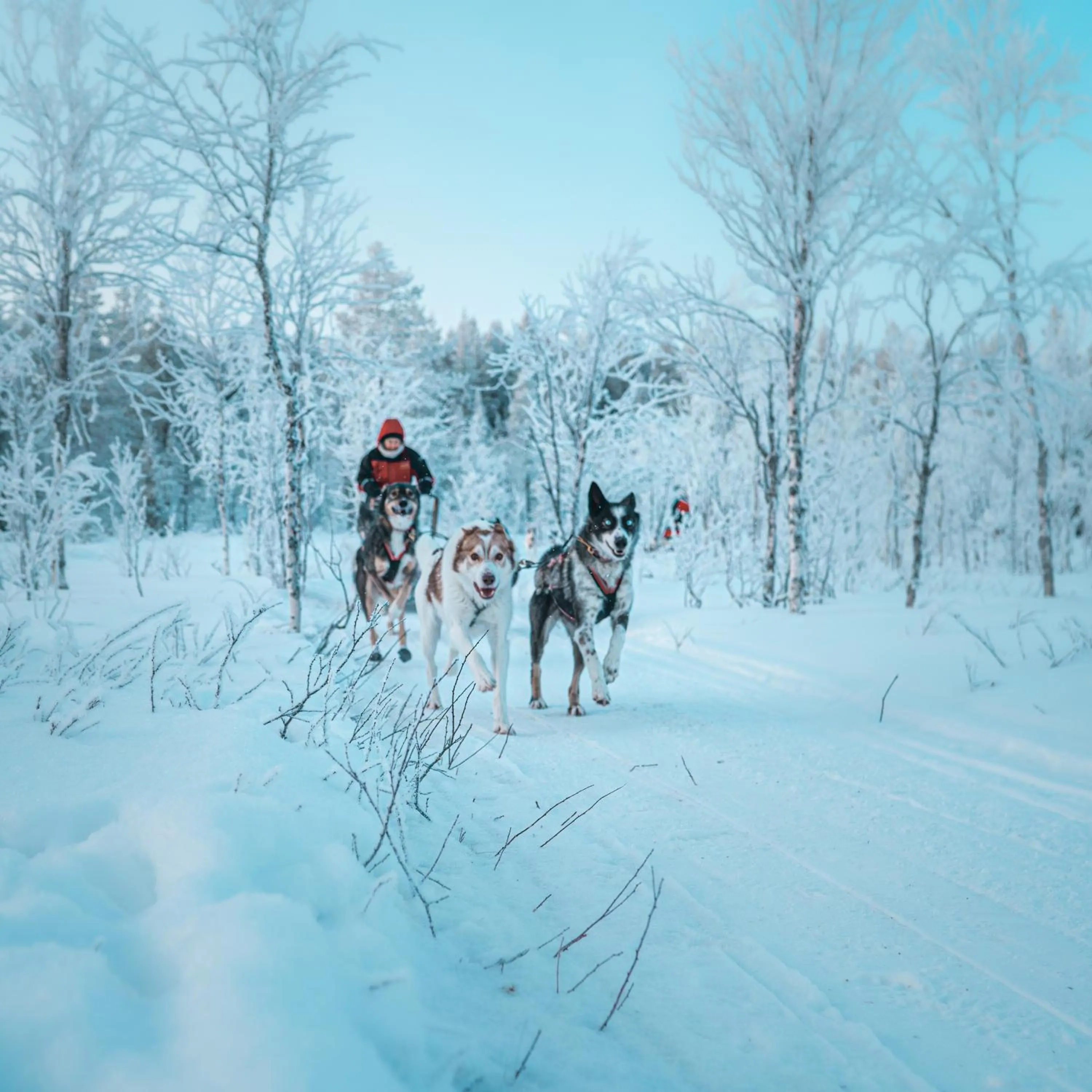 Natural landscape in Postmaster Hotel