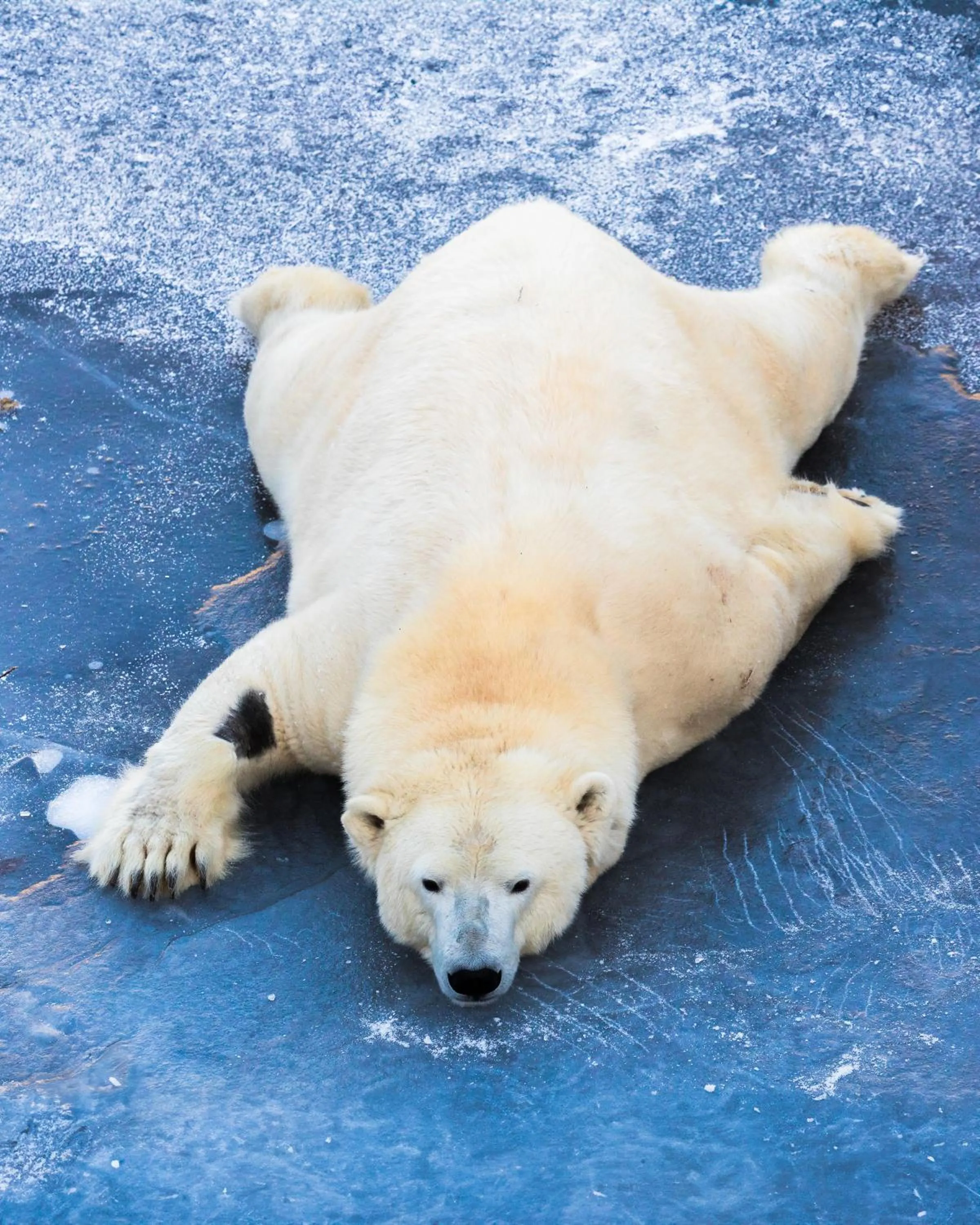 Activities in Postmaster Hotel