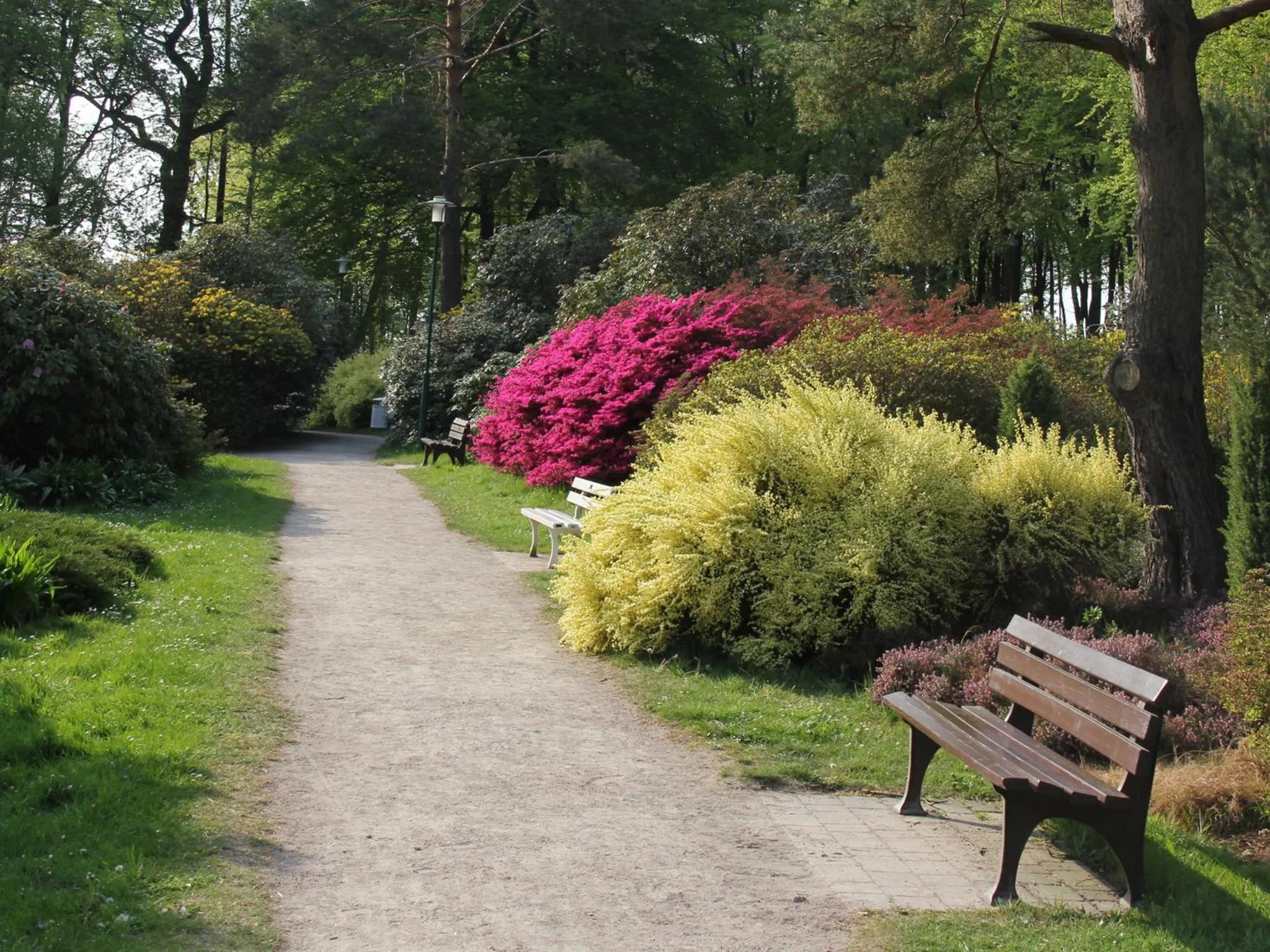 Facade/entrance in Hotel Ostseewoge