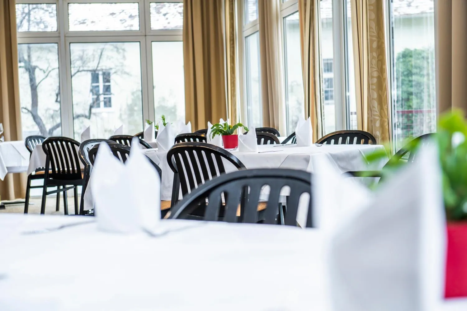 Restaurant/places to eat in Hotel Landskron