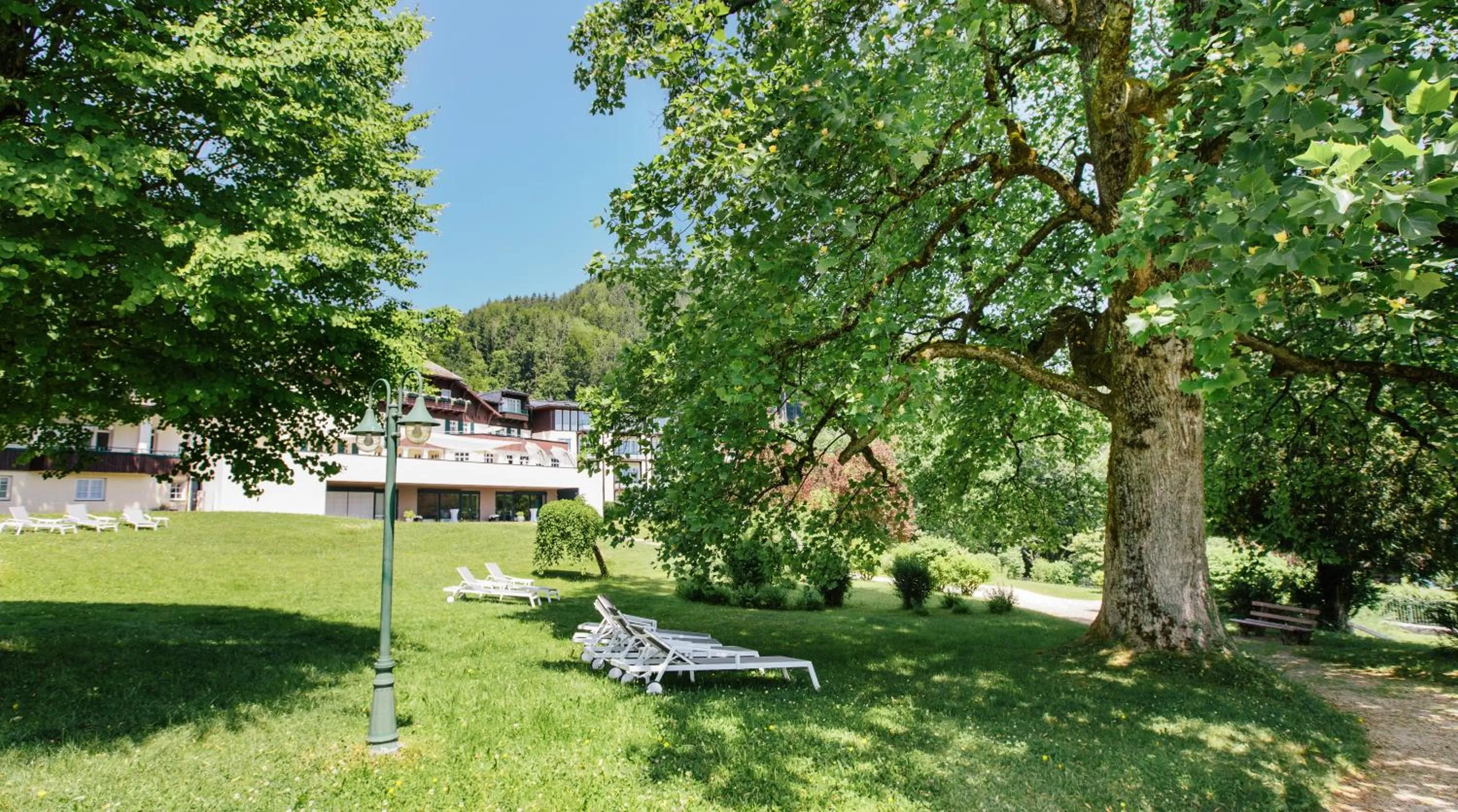 Garden in Seehotel Billroth