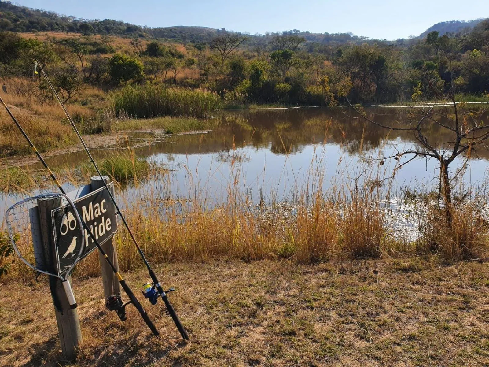Natural landscape in Muluwa Lodge