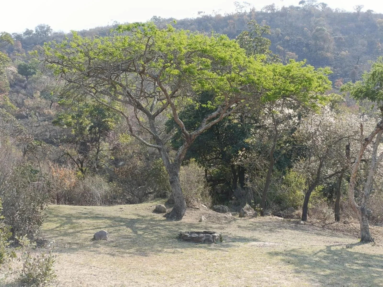 Natural landscape in Muluwa Lodge
