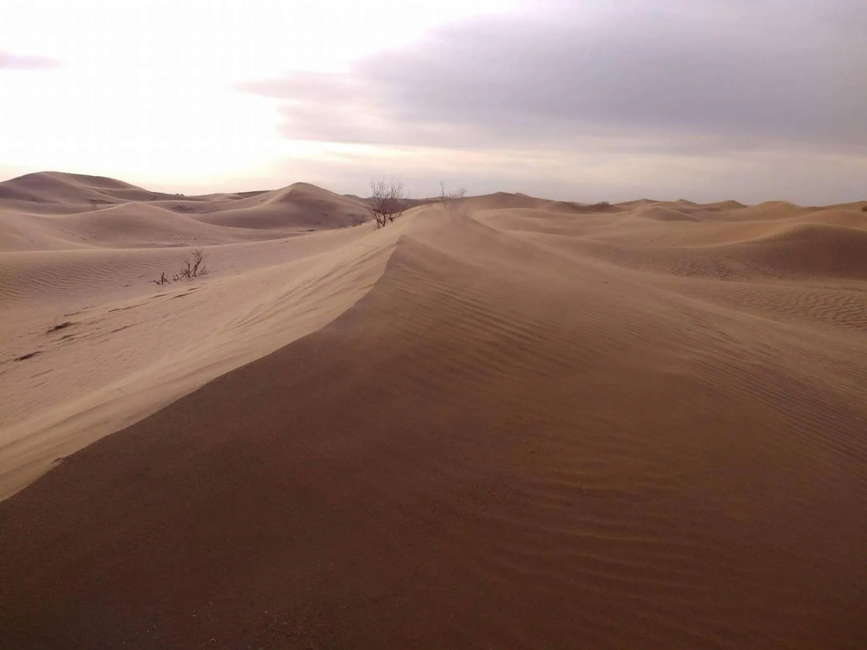 View (from property/room) in Tinfou desert camp
