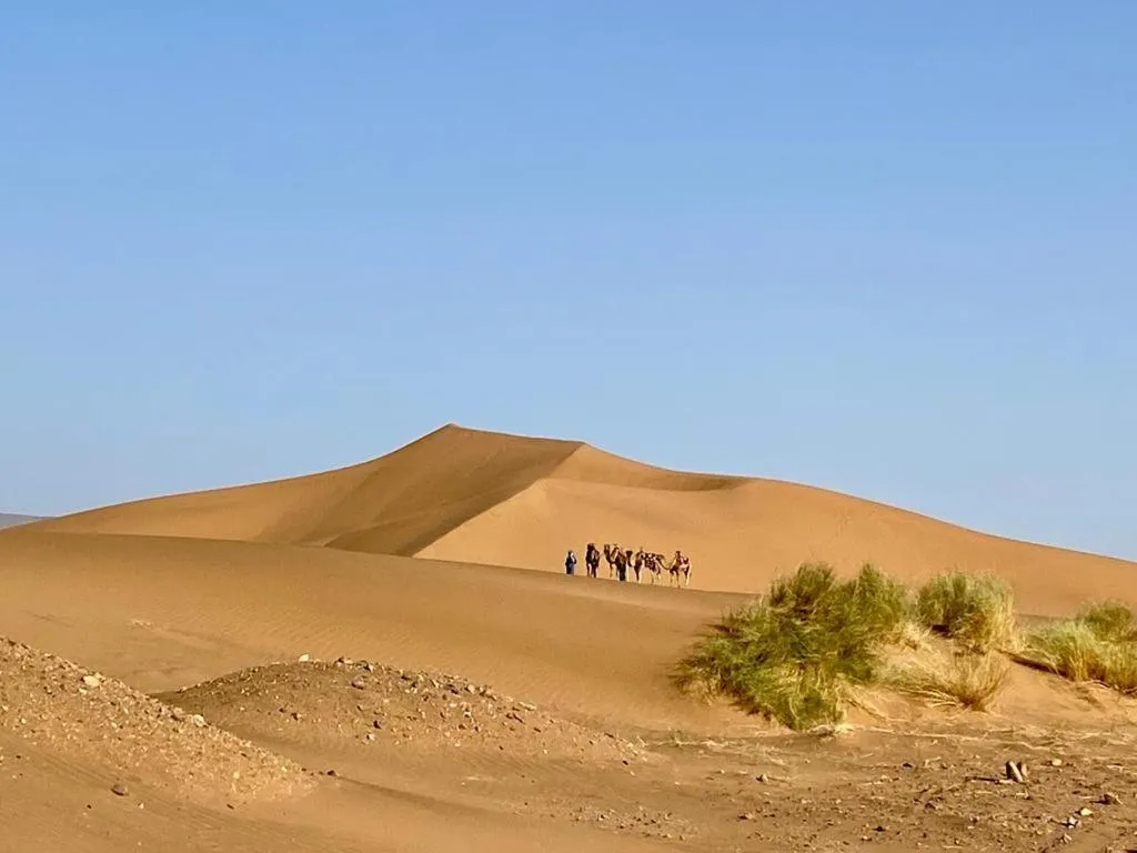 View (from property/room) in Tinfou desert camp