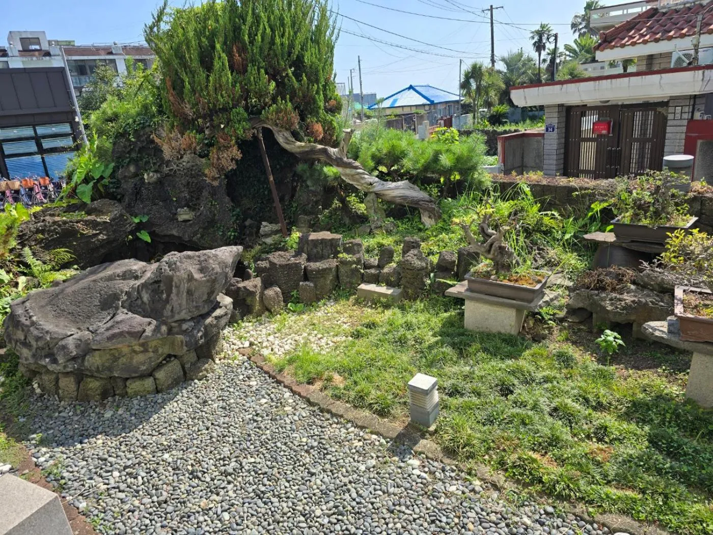 Garden in Cheonjiyeon Hotel