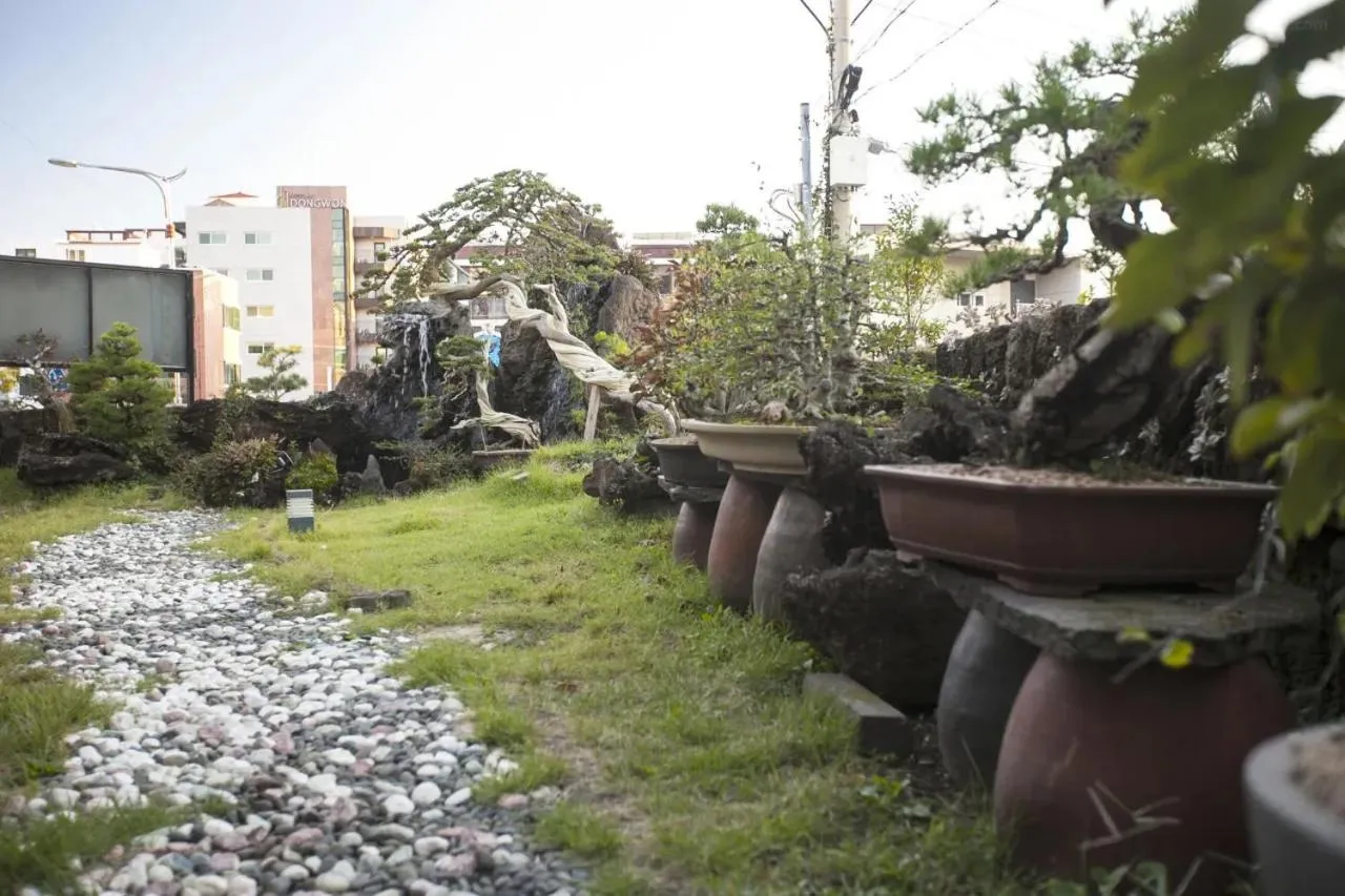 Garden in Cheonjiyeon Hotel