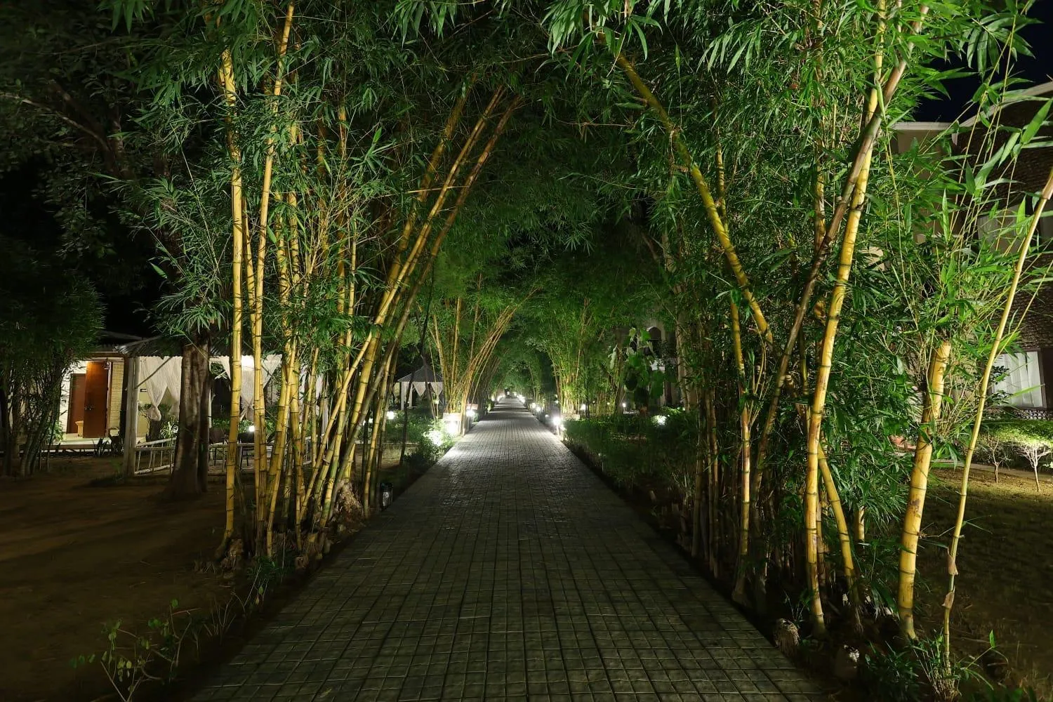 Garden view in Corbett Tusker Trail