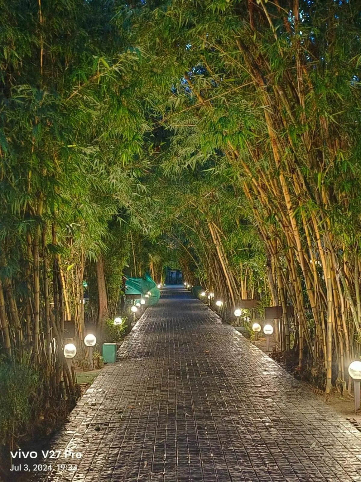 Natural landscape in Corbett Tusker Trail