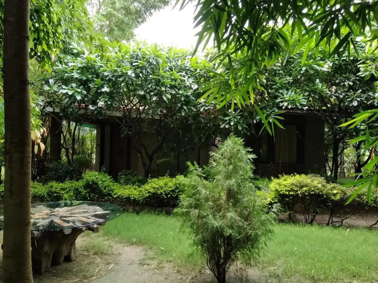 Garden view in Corbett Tusker Trail
