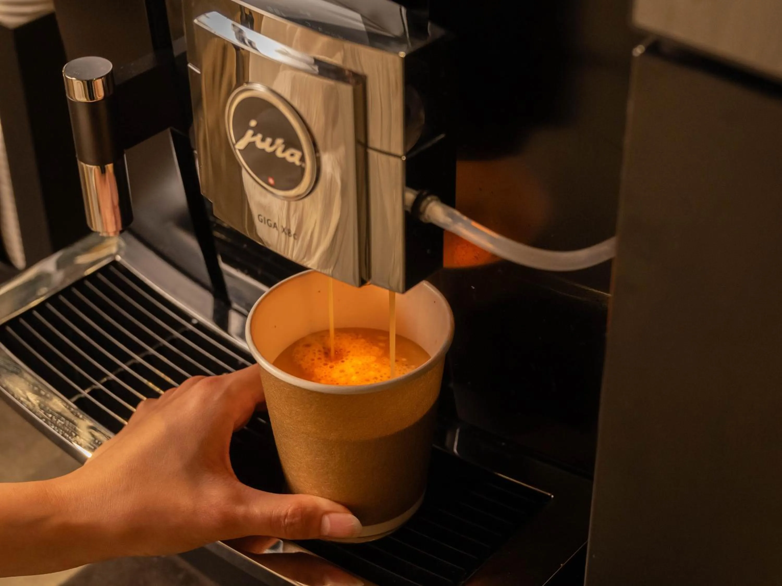 Lounge or bar in insomnia KYOTO OIKE