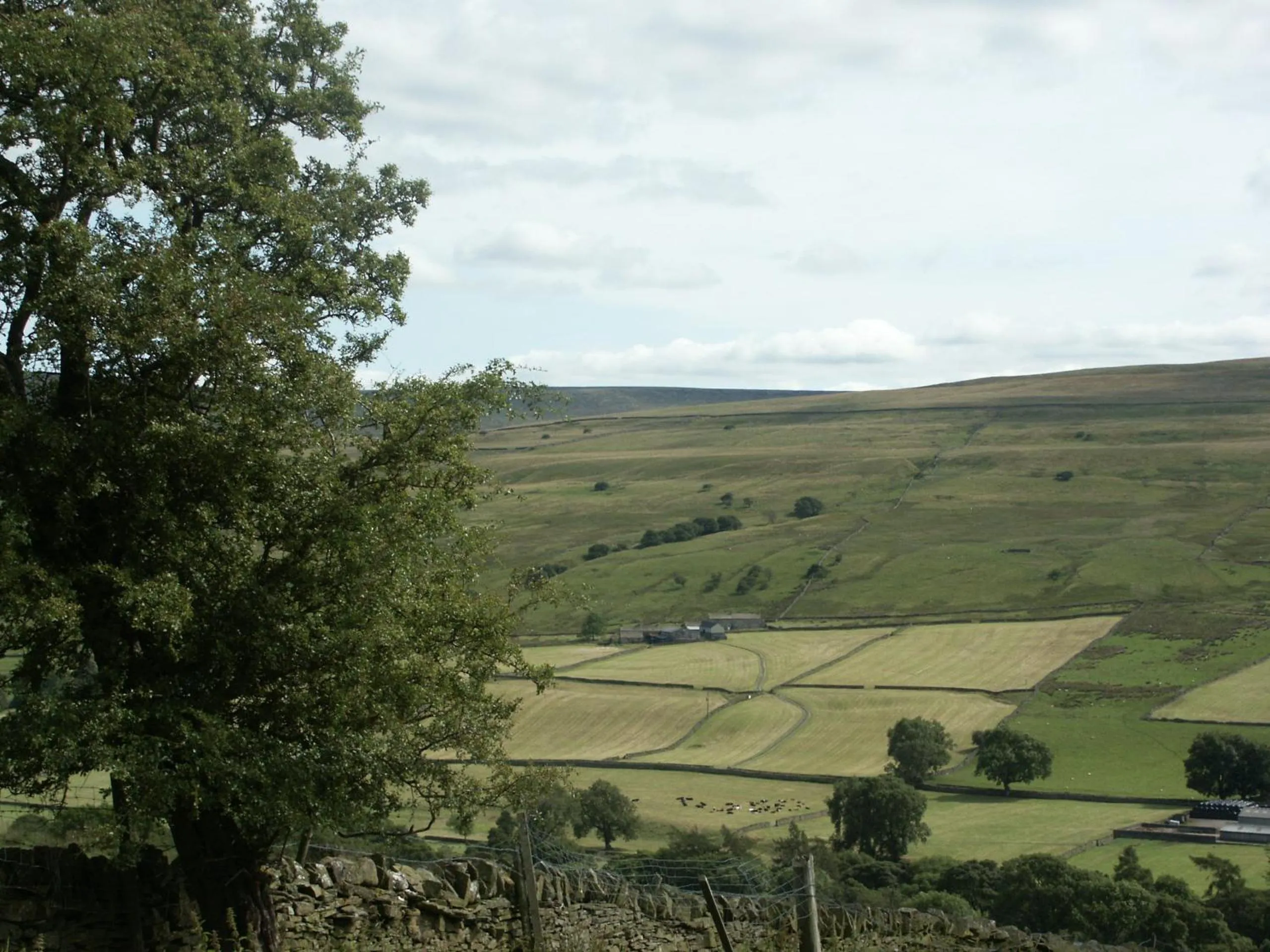 View (from property/room) in Westgate Manor