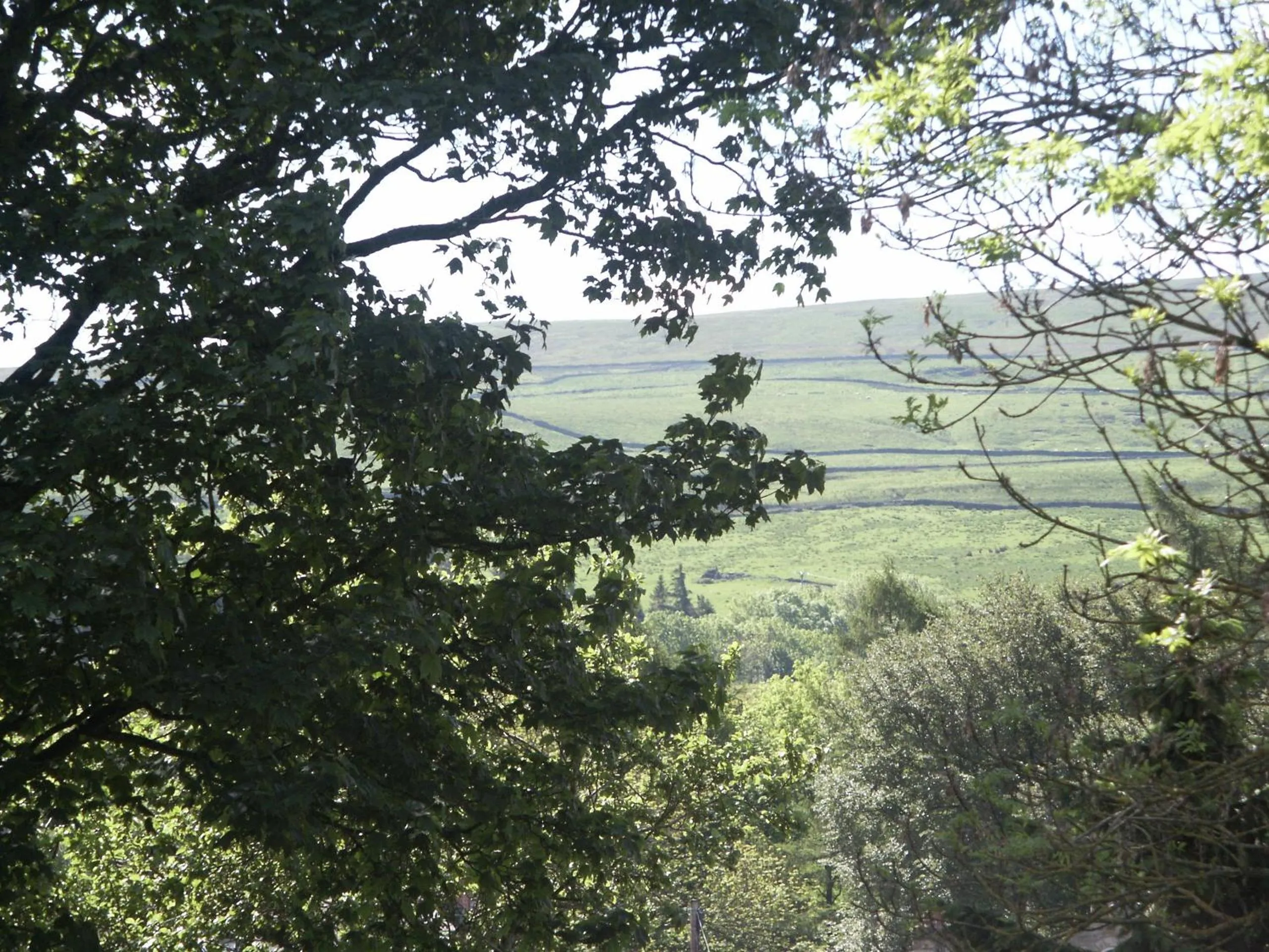 View (from property/room) in Westgate Manor