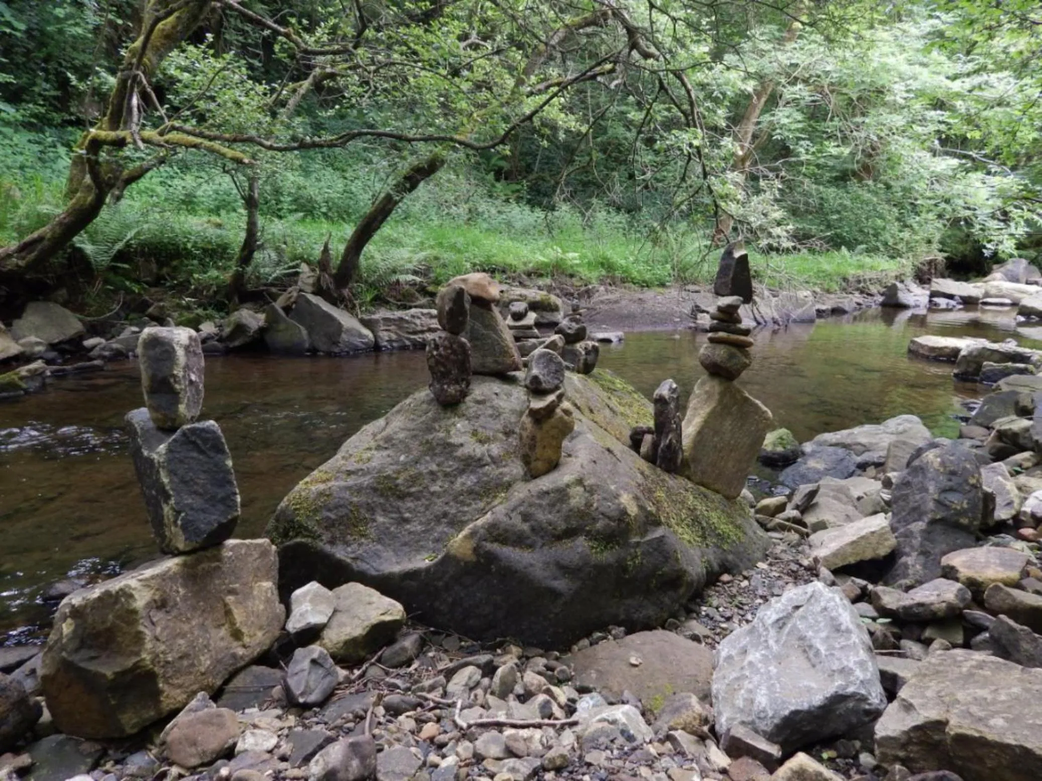 Area and facilities in Westgate Manor