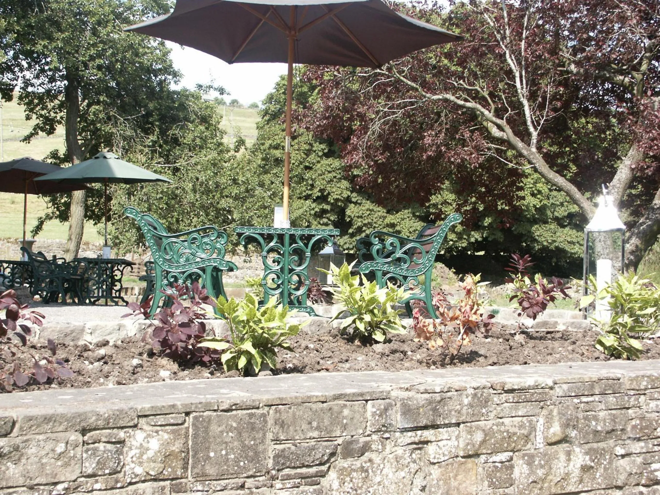 Garden in Westgate Manor