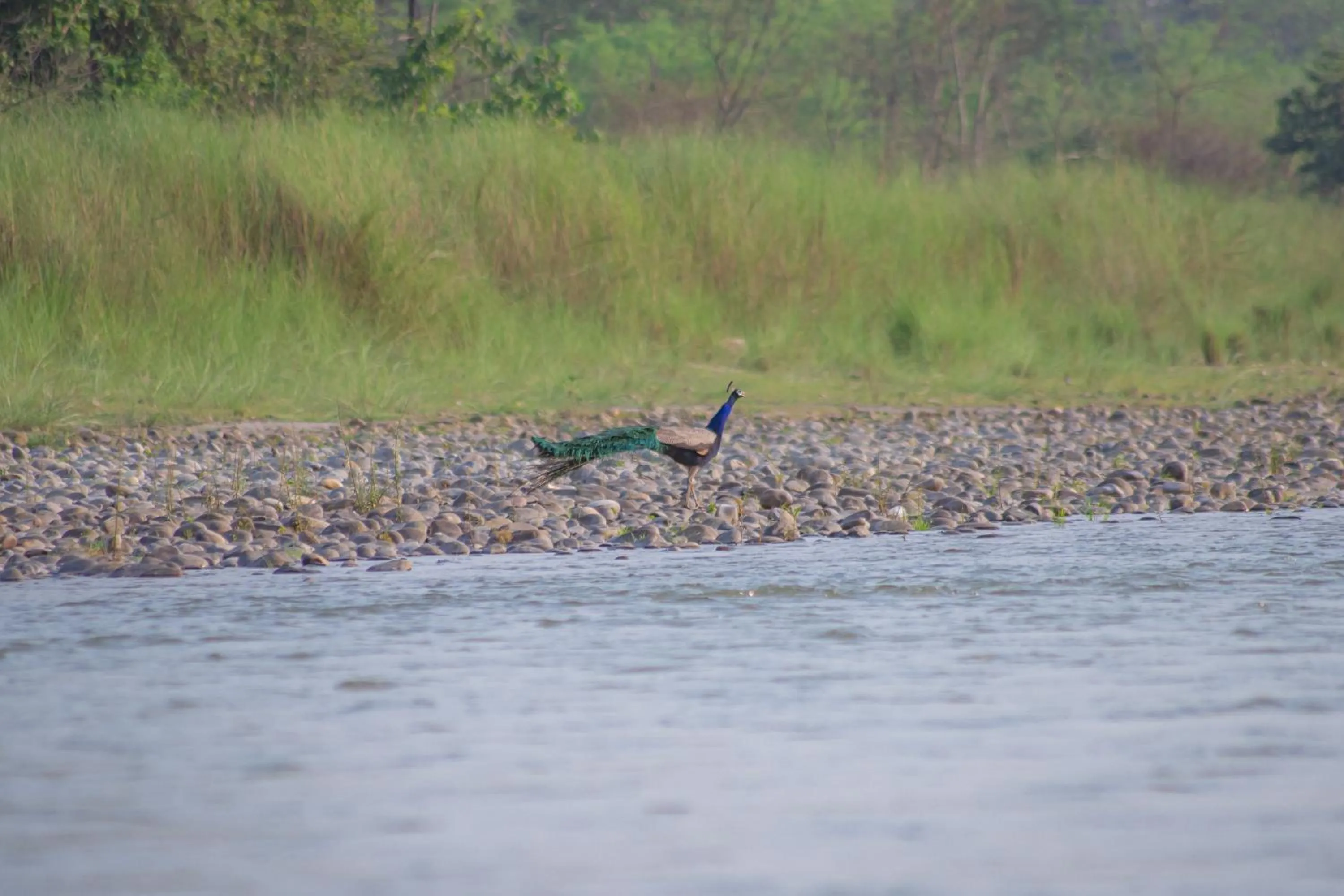 Natural landscape in Bagaicha Adventure Resort