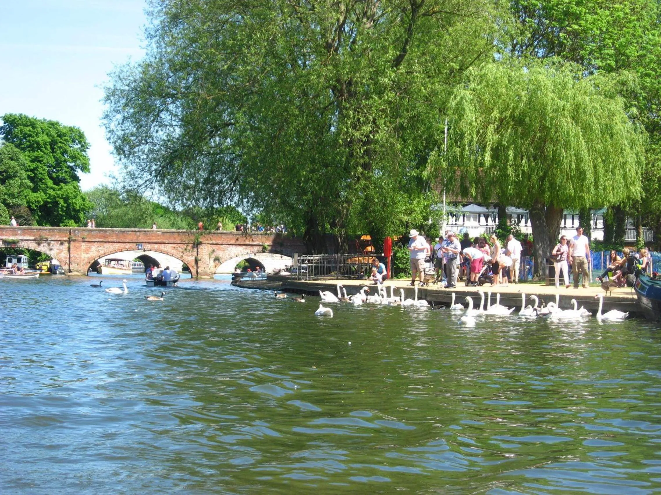 Bowling in Bend in the River Lodge