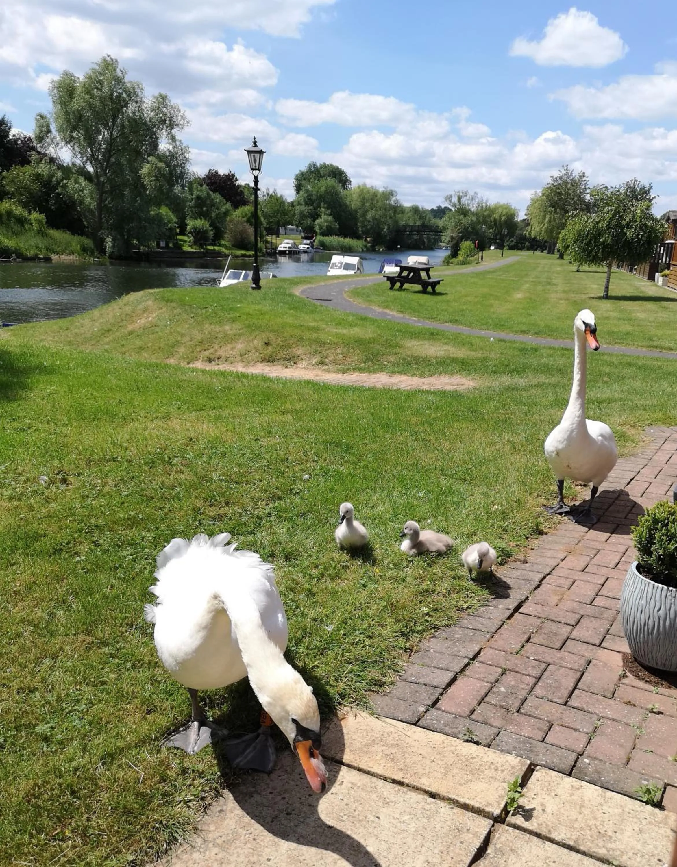 Summer in Bend in the River Lodge