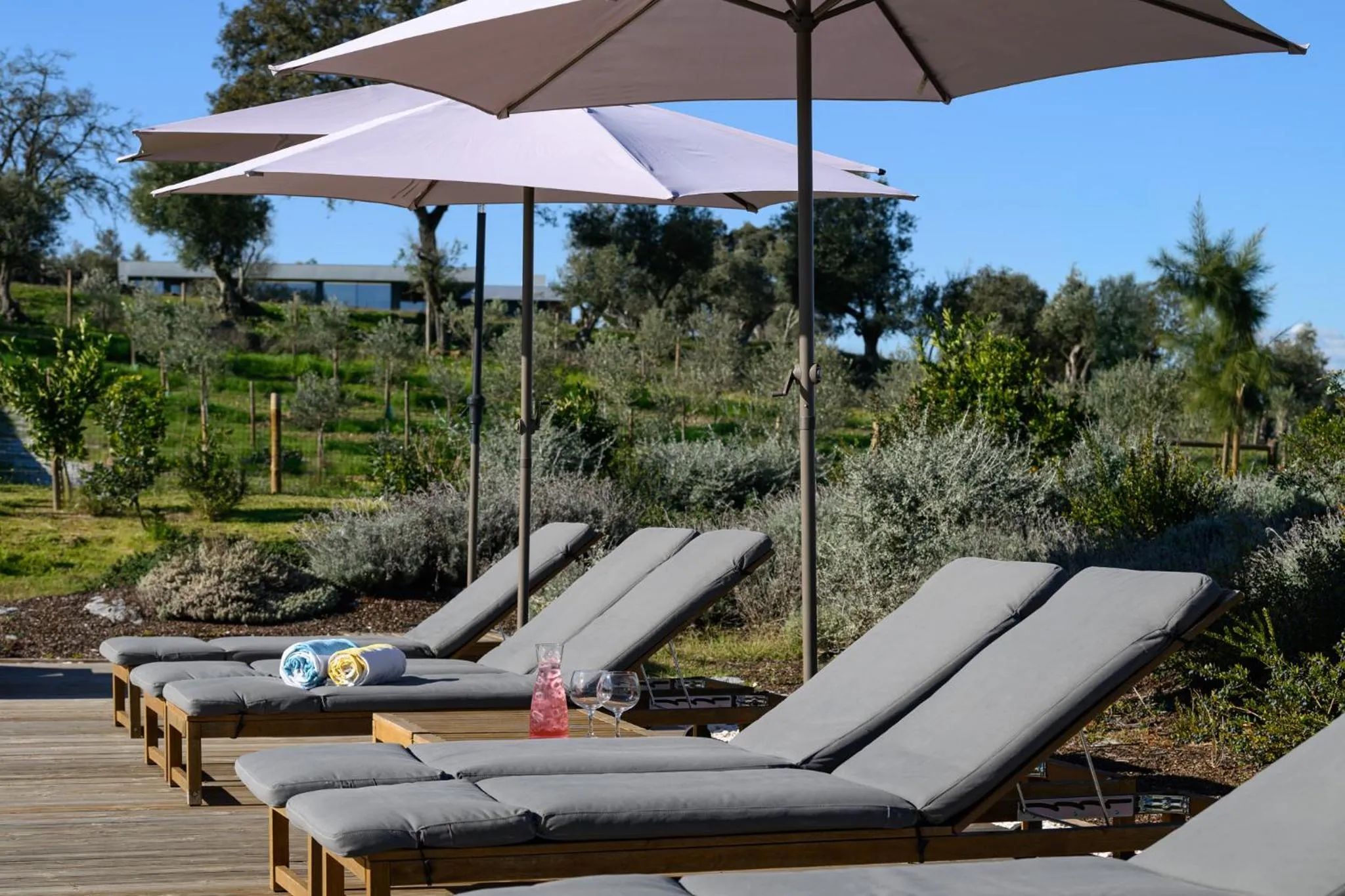 Swimming pool in Quinta da Amendoeira - Évora - The Farmhouse