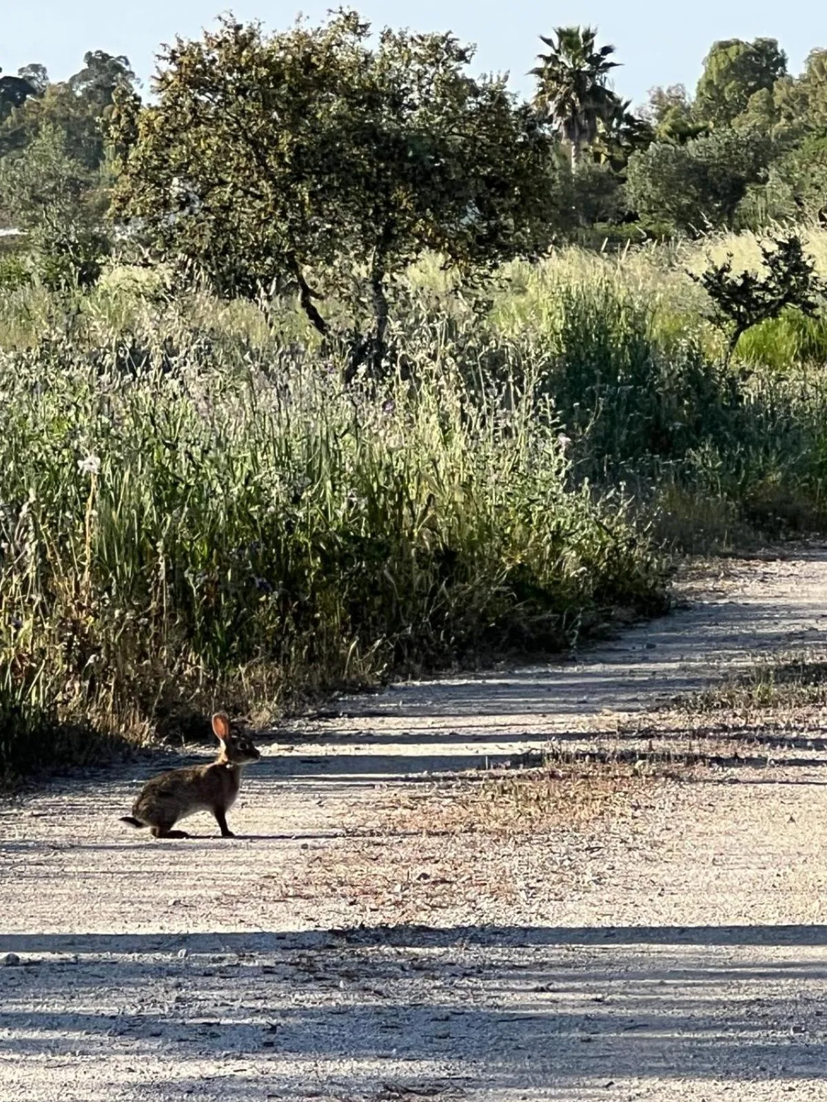 Hiking in Quinta da Amendoeira - Évora - The Farmhouse