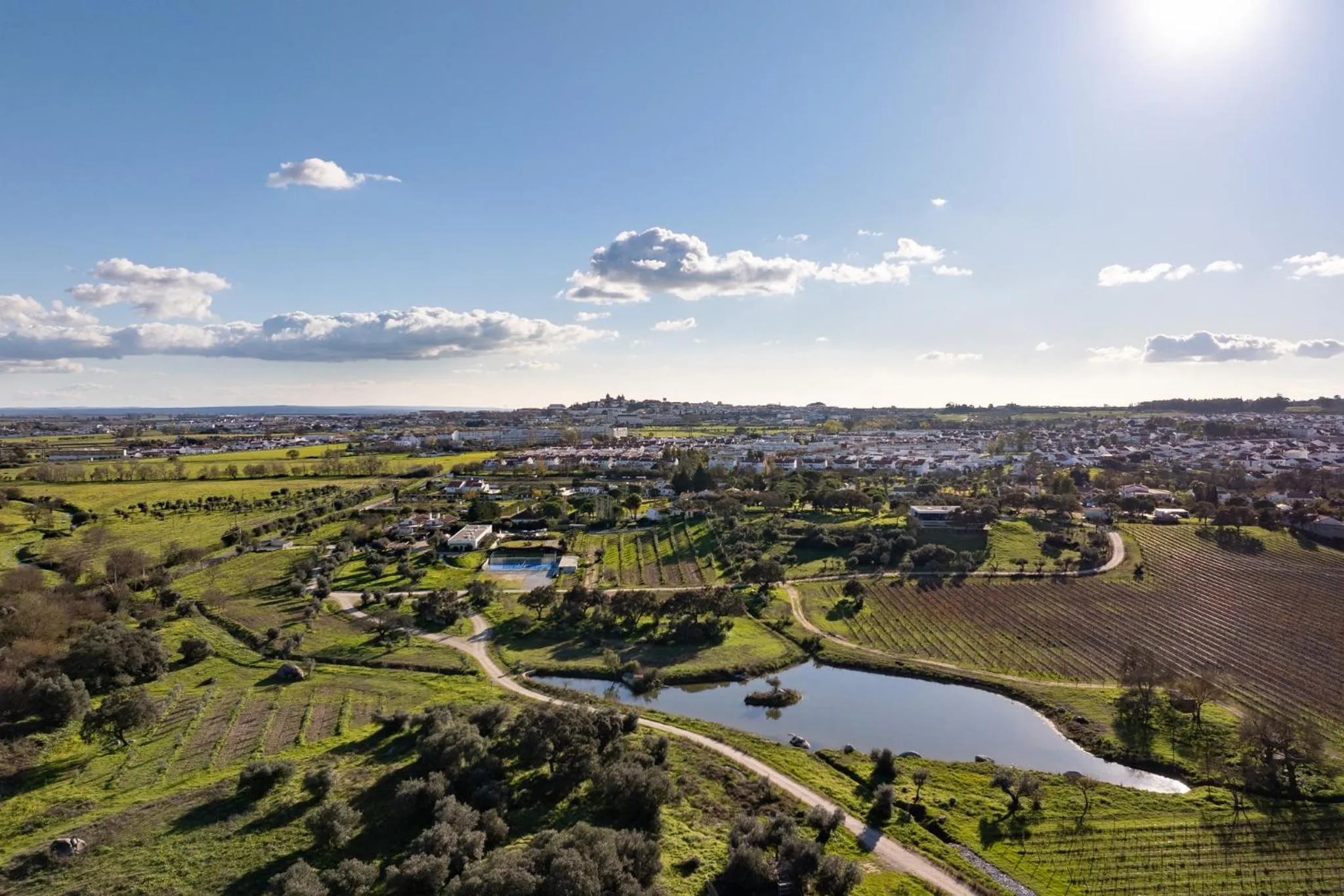 Off site in Quinta da Amendoeira - Évora - The Farmhouse