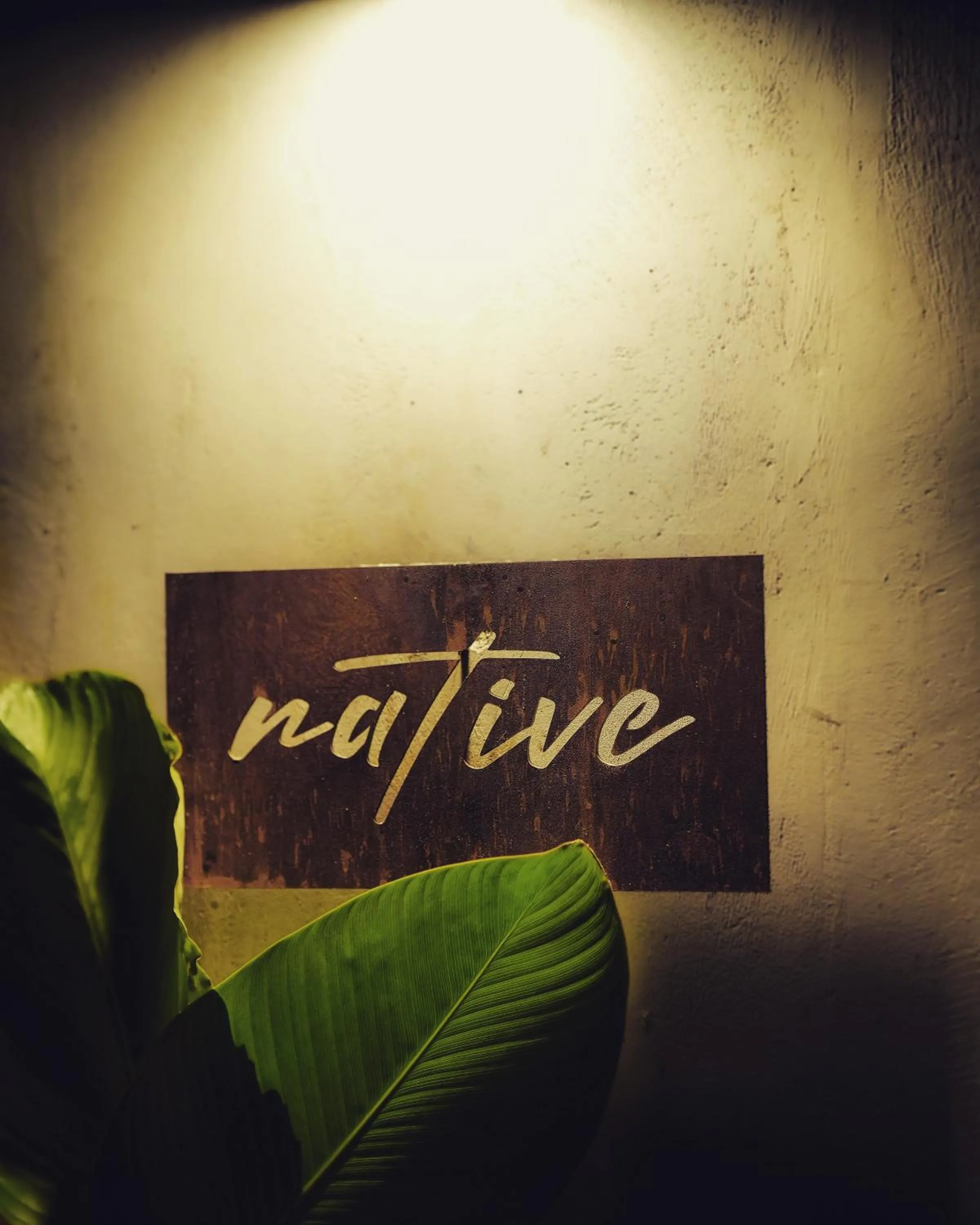 Property logo or sign in Native by Cliff and Coral