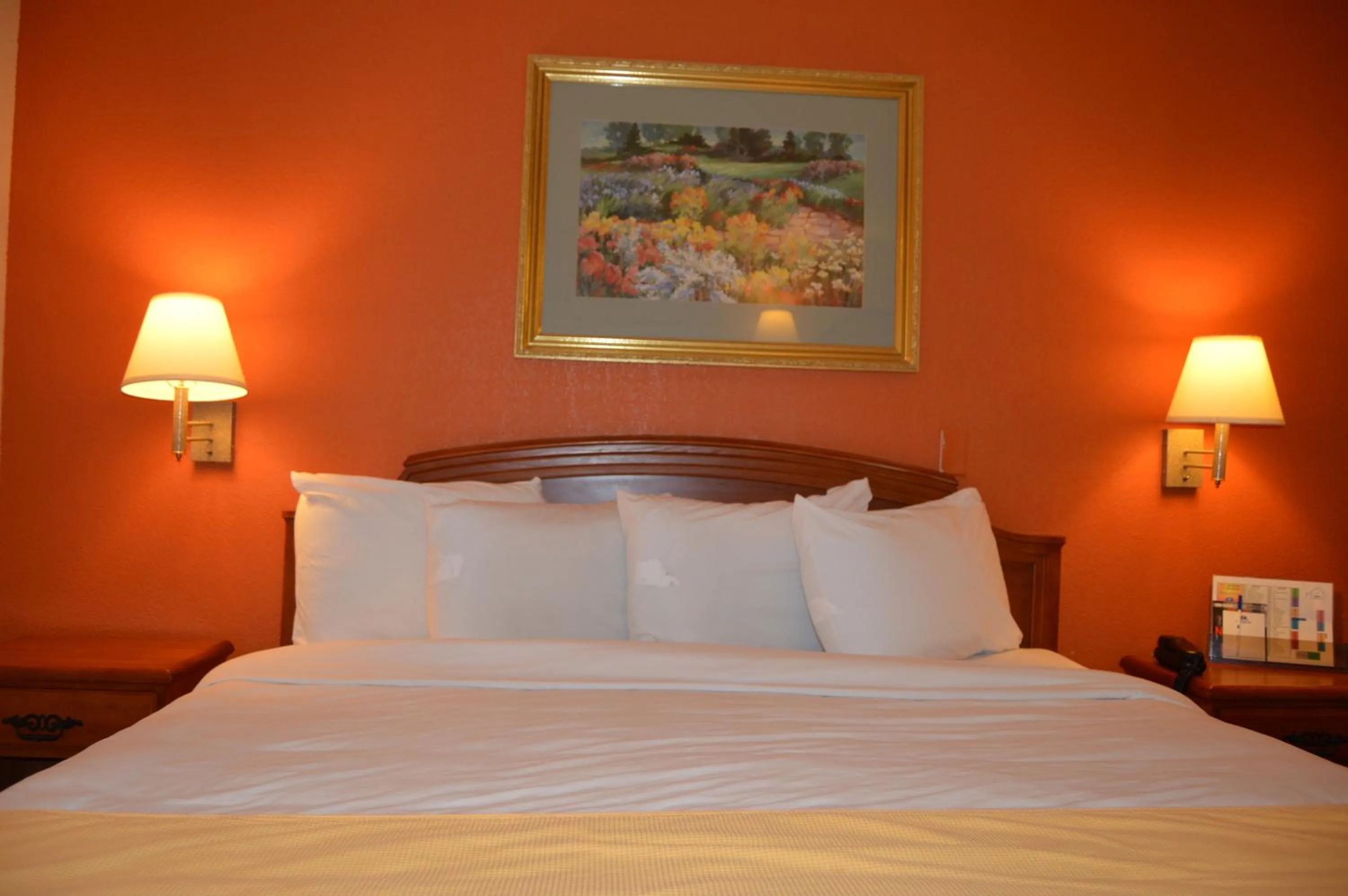 Bed in Americas Best Value Inn Gainesville TX