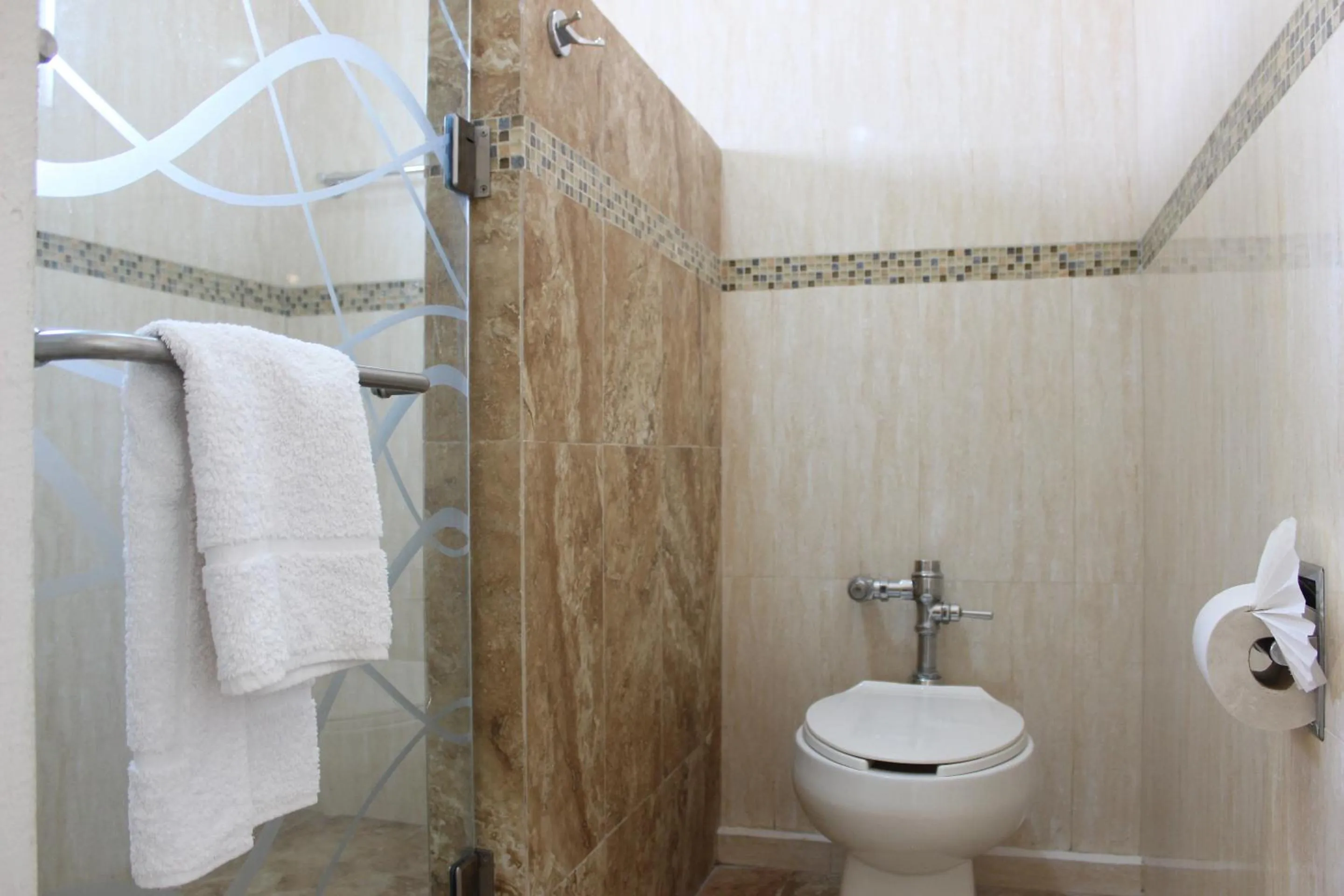 Toilet in Hotel Flamingo Irapuato