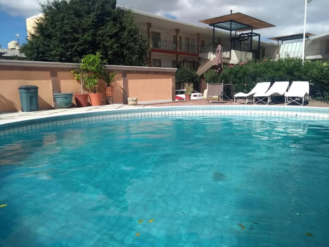 Pool view in Hotel Flamingo Irapuato