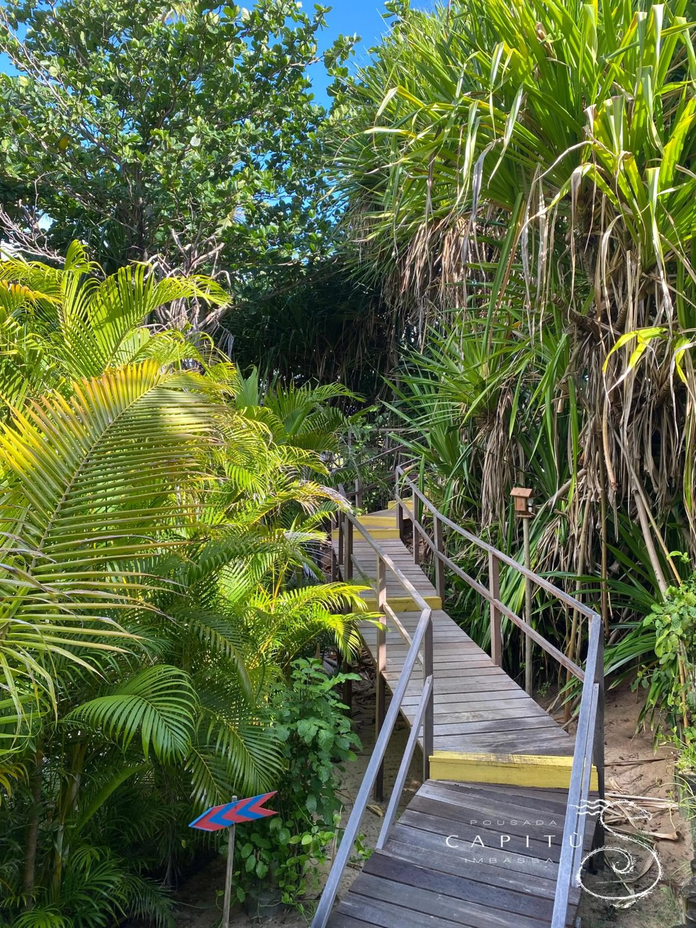 Bird's eye view in Pousada Capitù