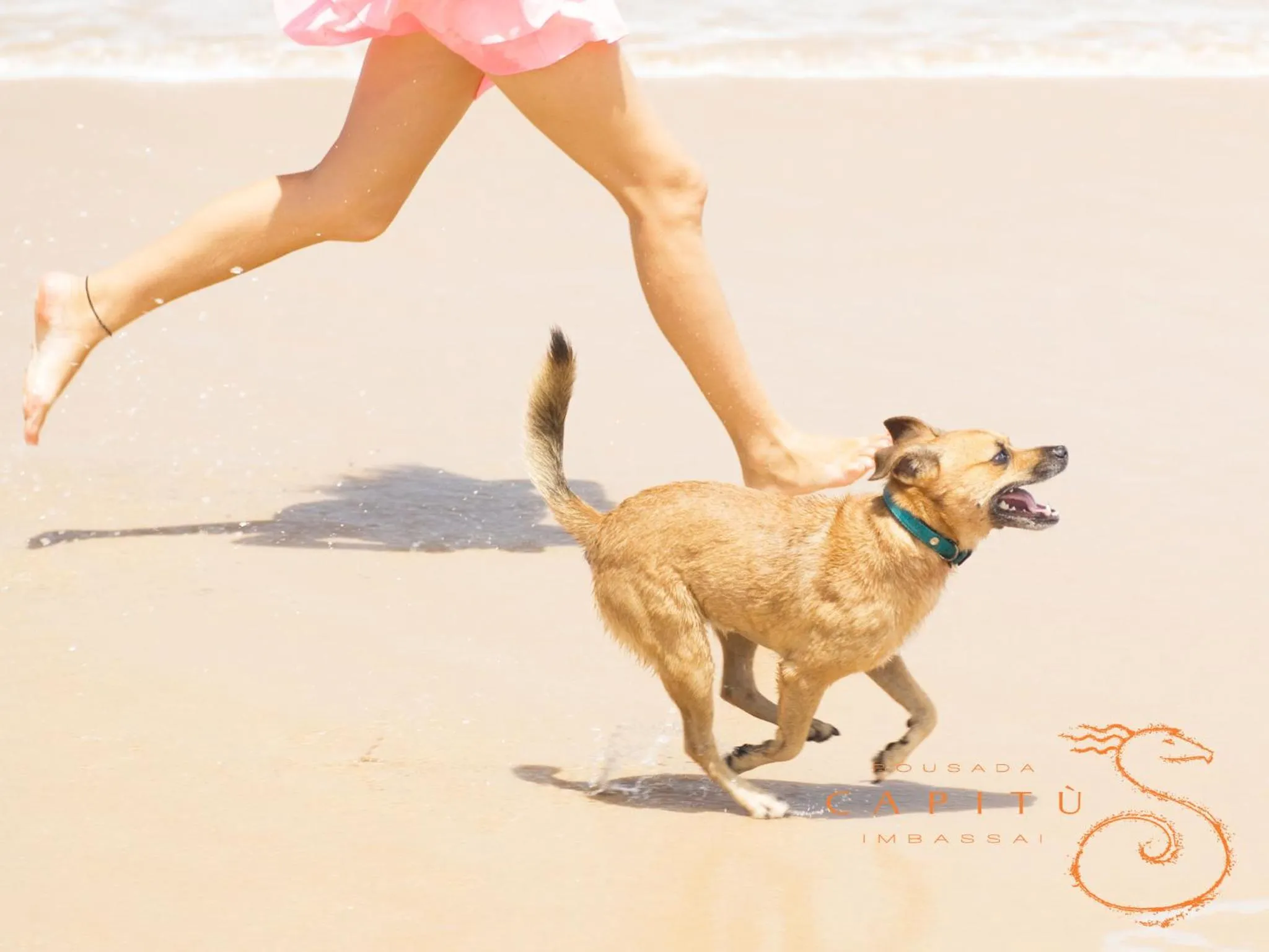 Pets in Pousada Capitù