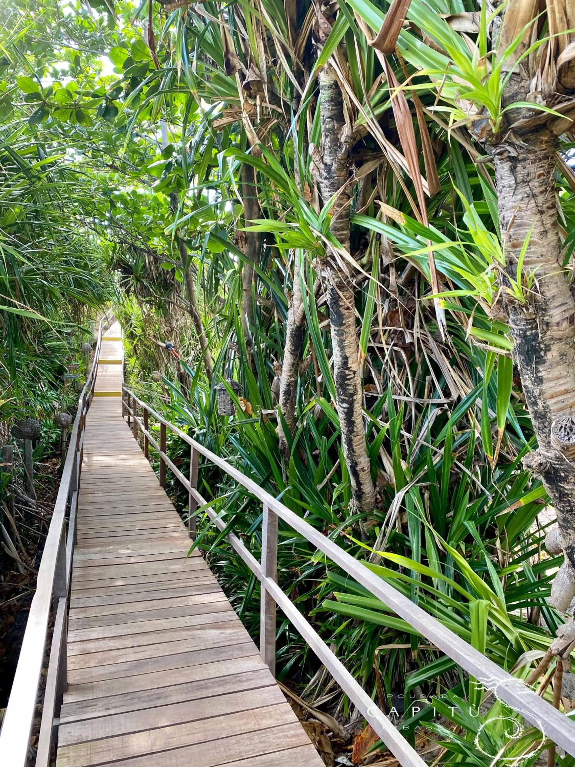 Decorative detail in Pousada Capitù