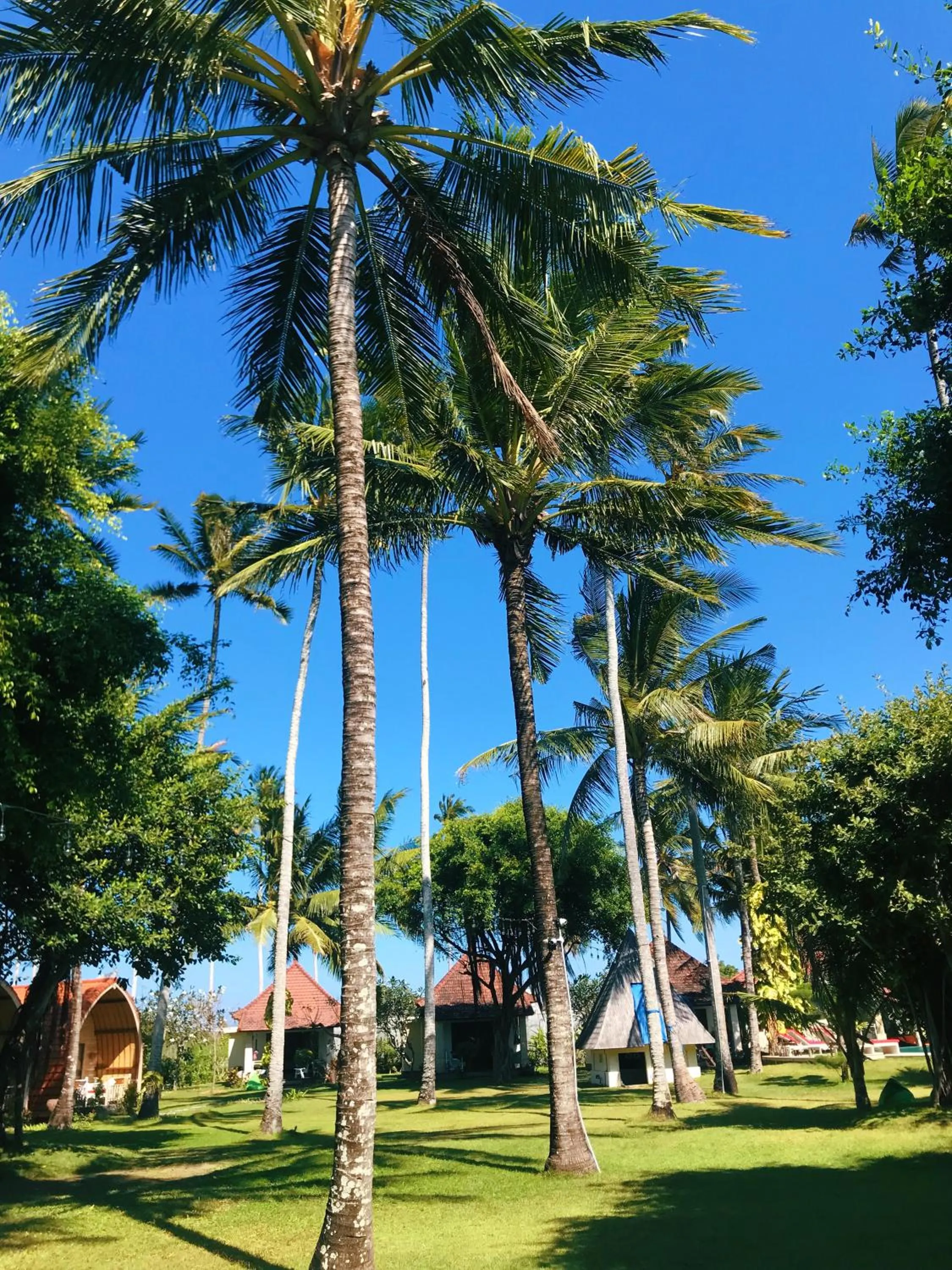 Garden in Puri Rinjani Bungalows