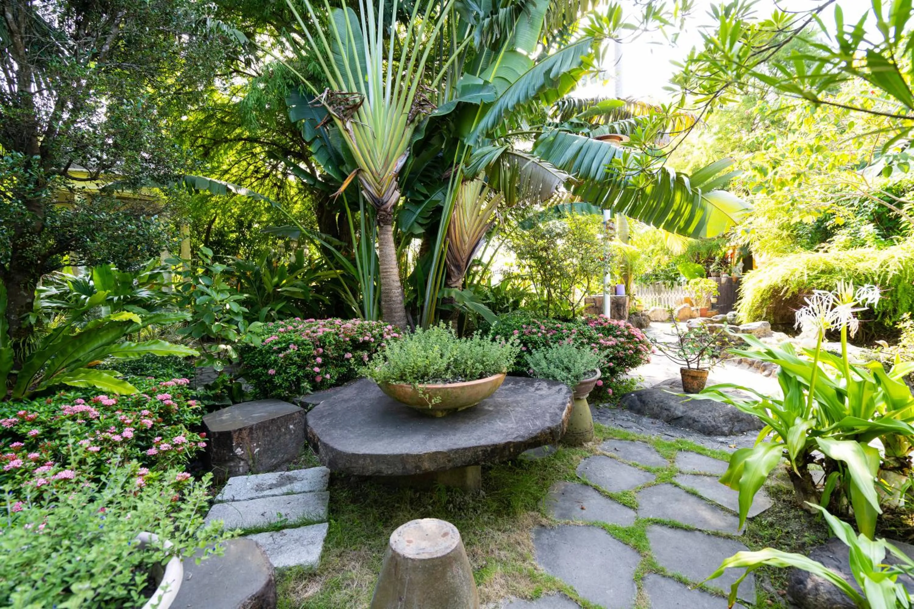 Xin Yuan My Dream Castle